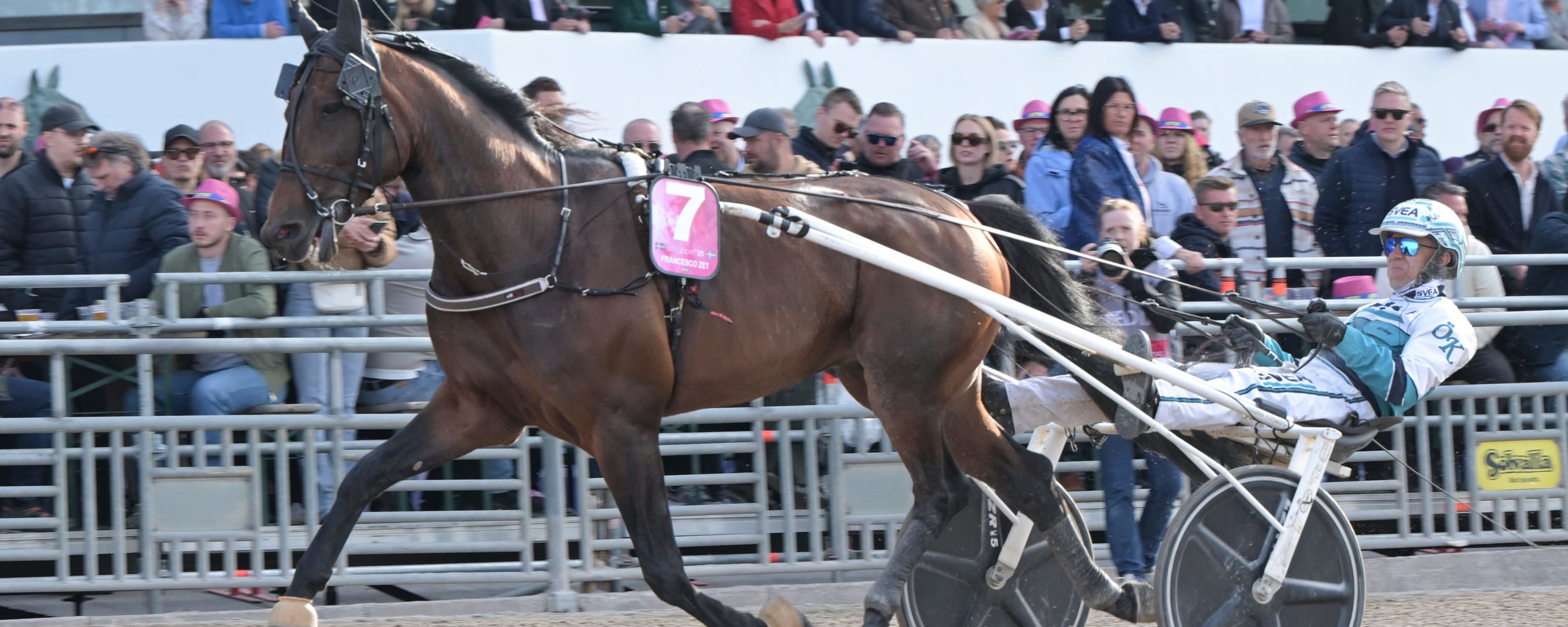 Foto: LARS JAKOBSSON / TR BILD