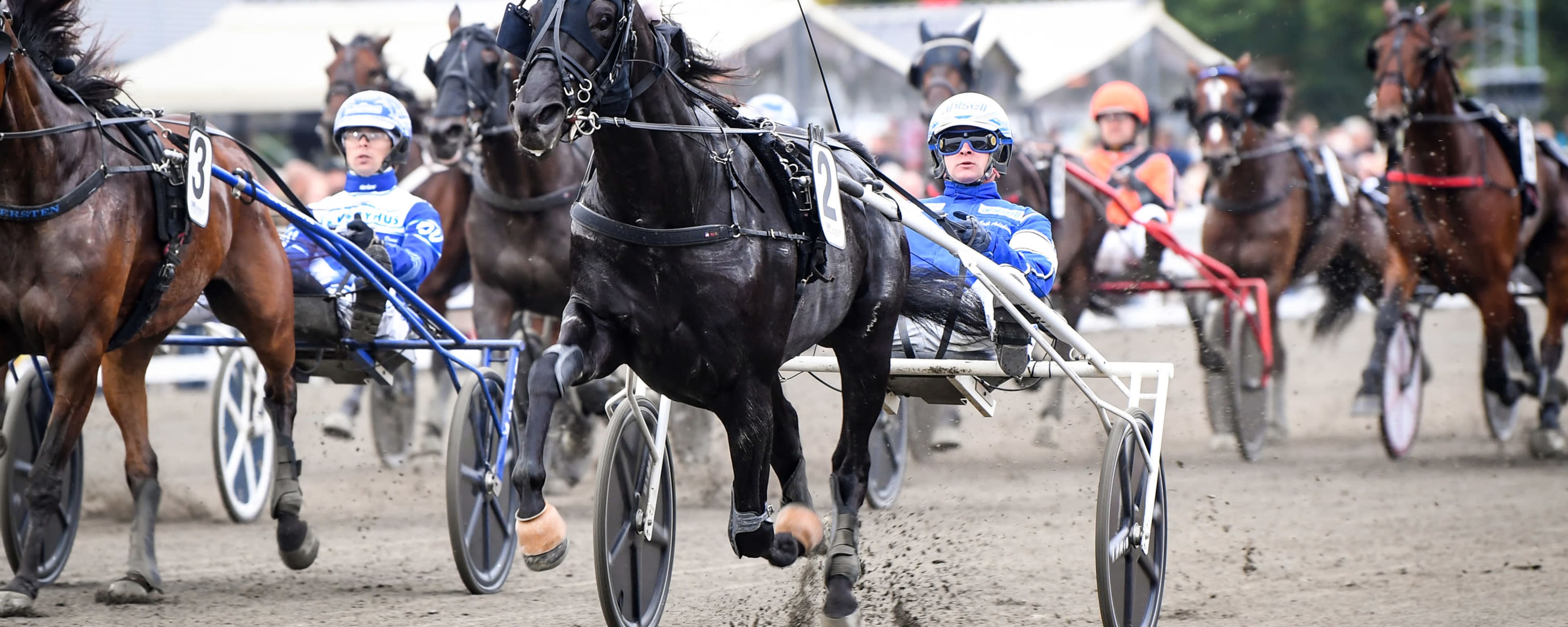 Foto: MALIN ALBINSSON / TR BILD