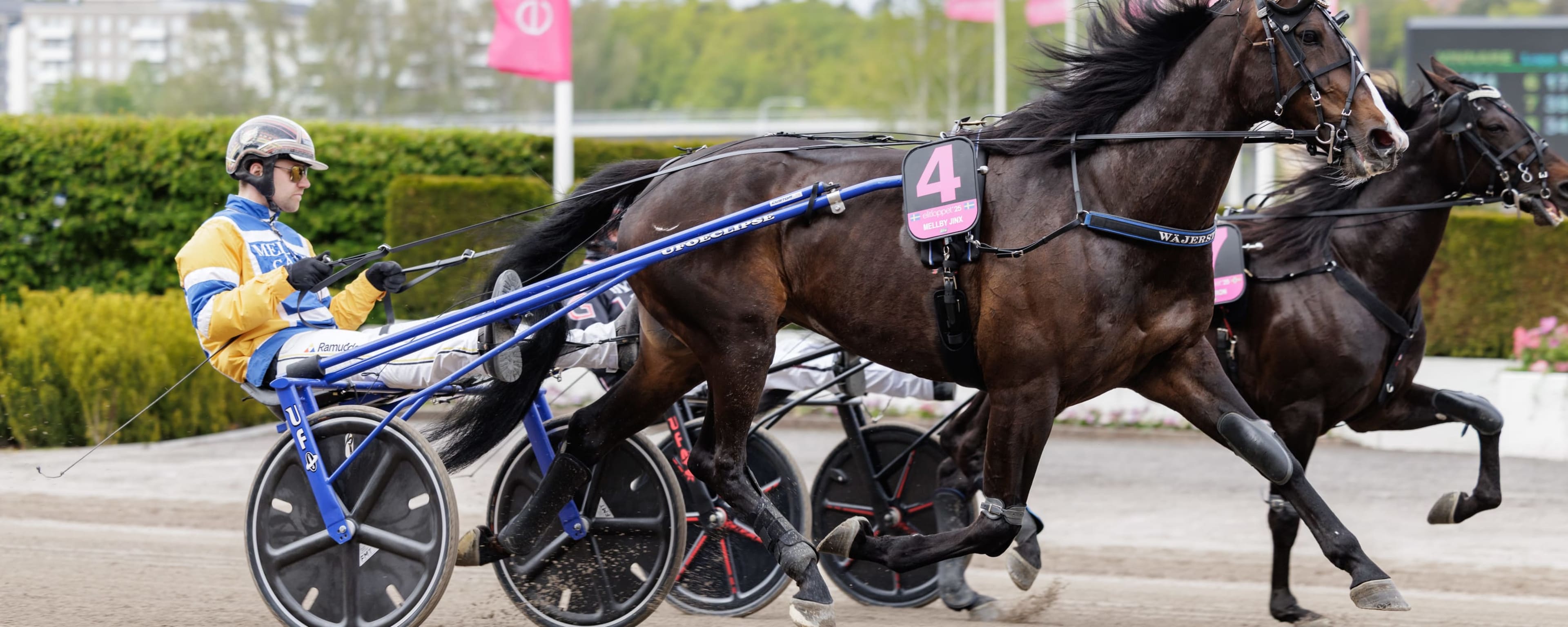 Foto: LENA EMMOTH / TR BILD