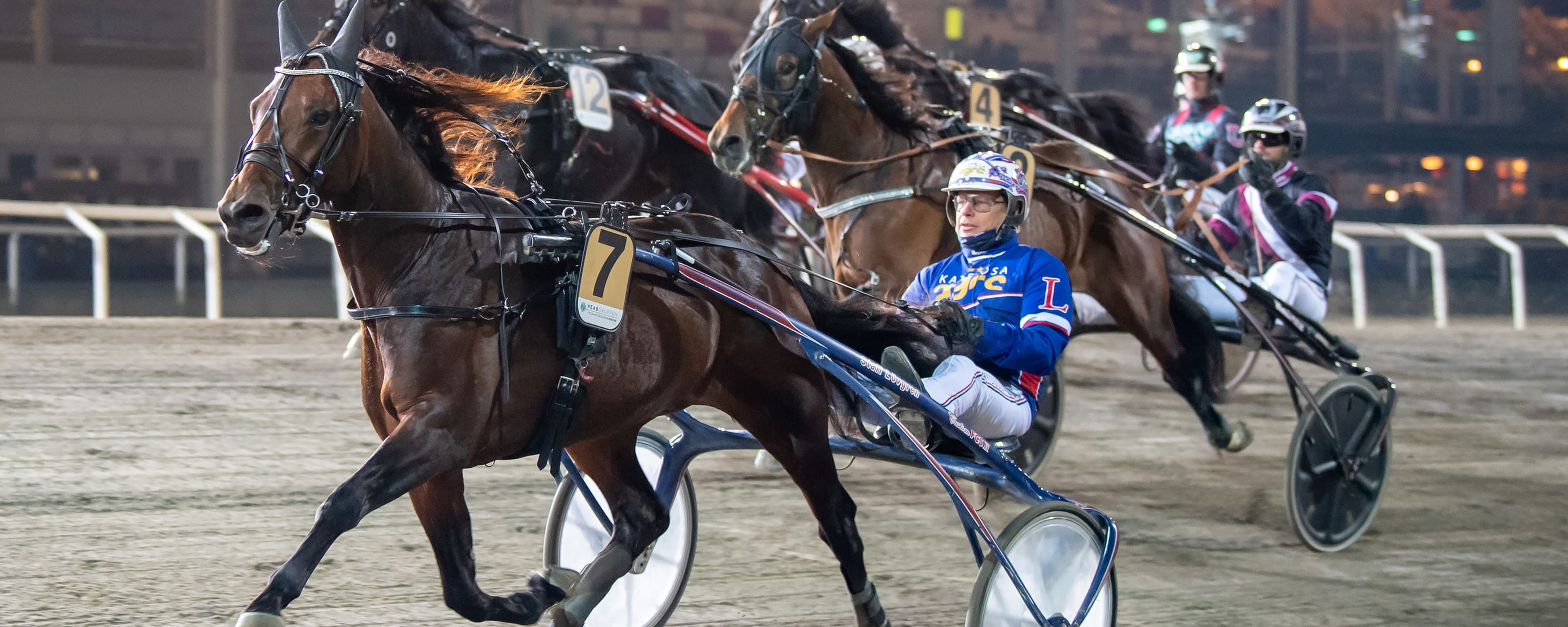 Foto: MIKAEL ROSENQUIST / TR BILD