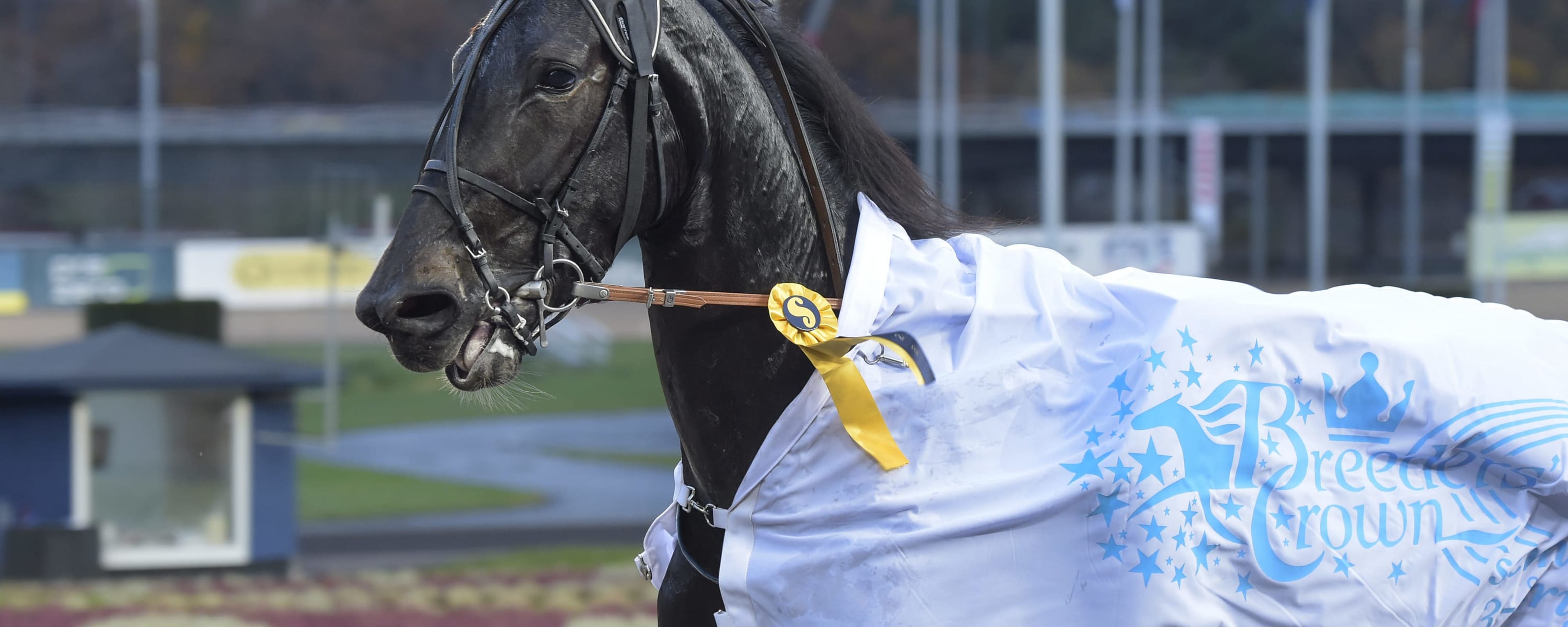 Foto: LARS JAKOBSSON / TR BILD