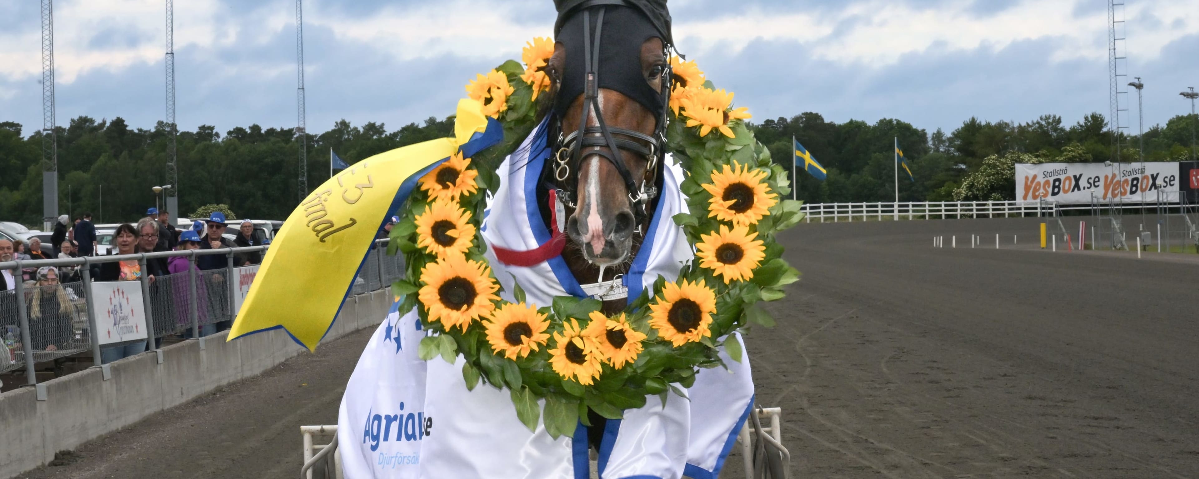 Foto: LARS JAKOBSSON / TR BILD