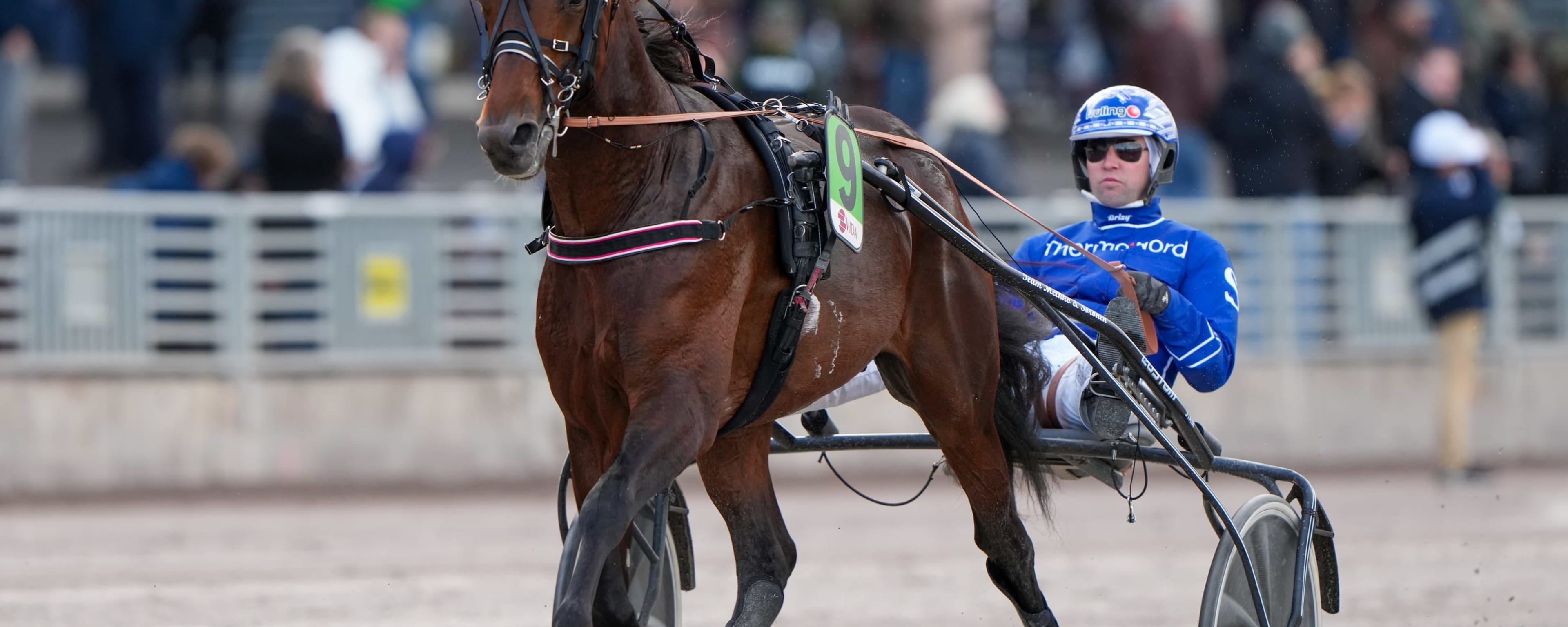 Foto: THOMAS BLOMQVIST / TR BILD