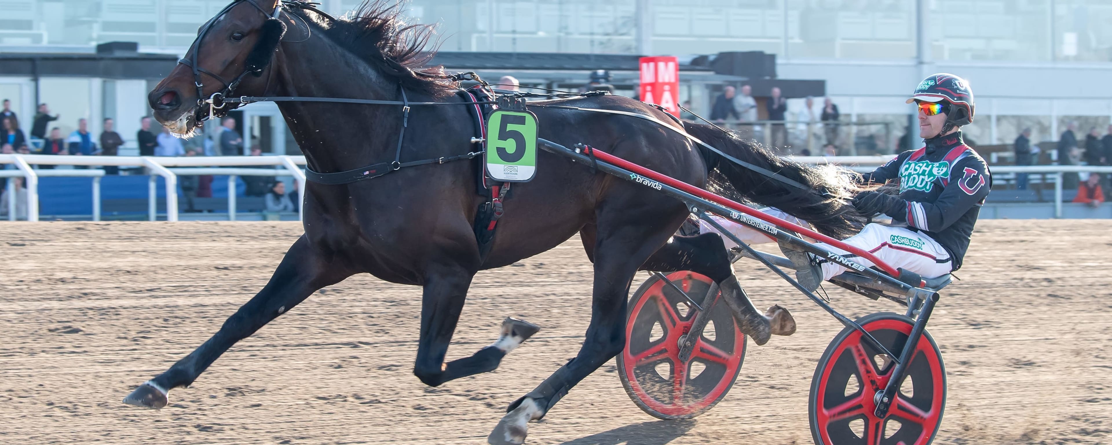 Foto: MIKAEL ROSENQUIST / TR BILD