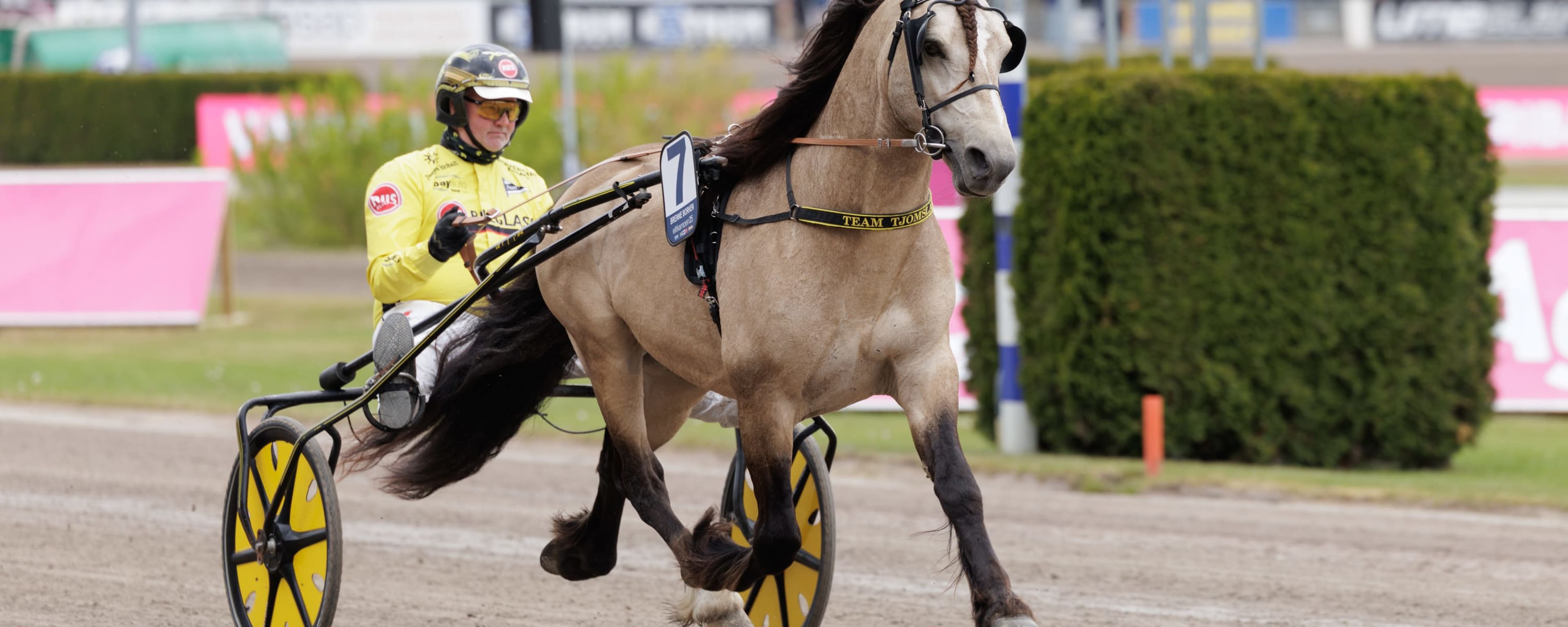 Foto: TR BILD