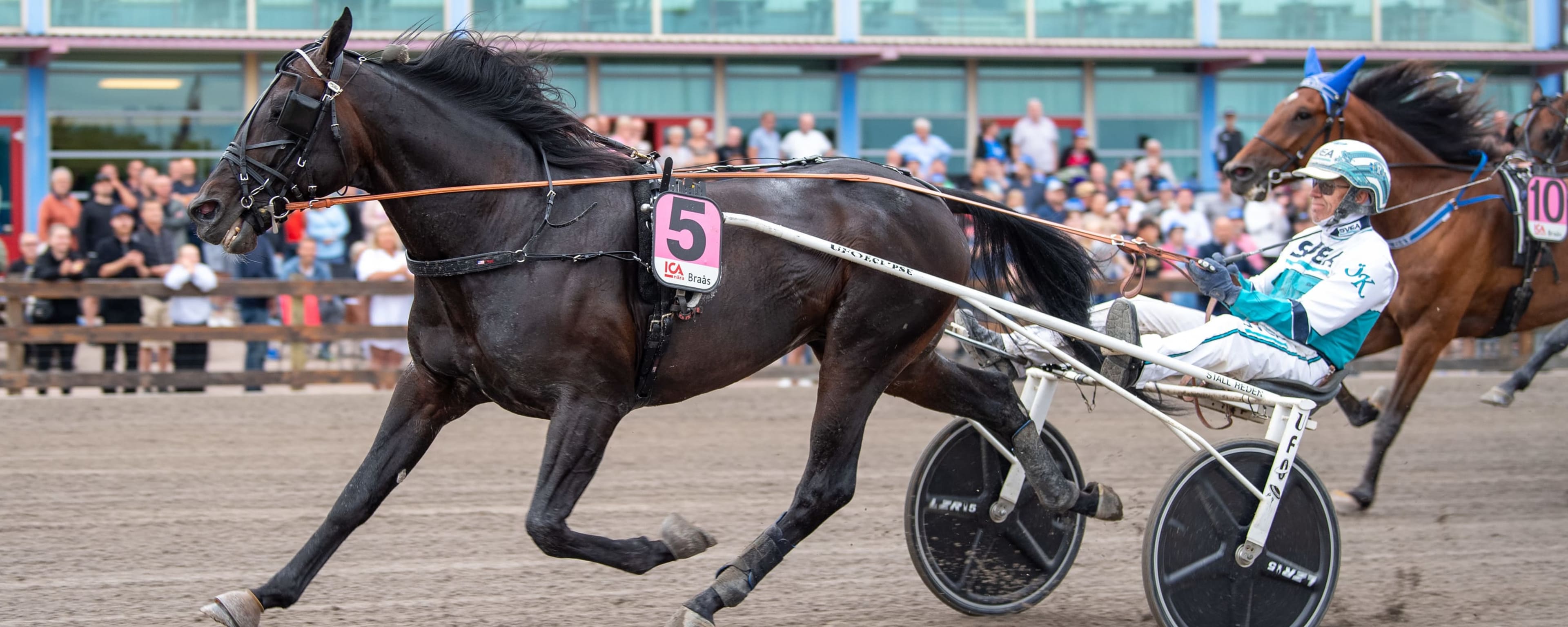 Foto: MIKAEL ROSENQUIST / TR BILD