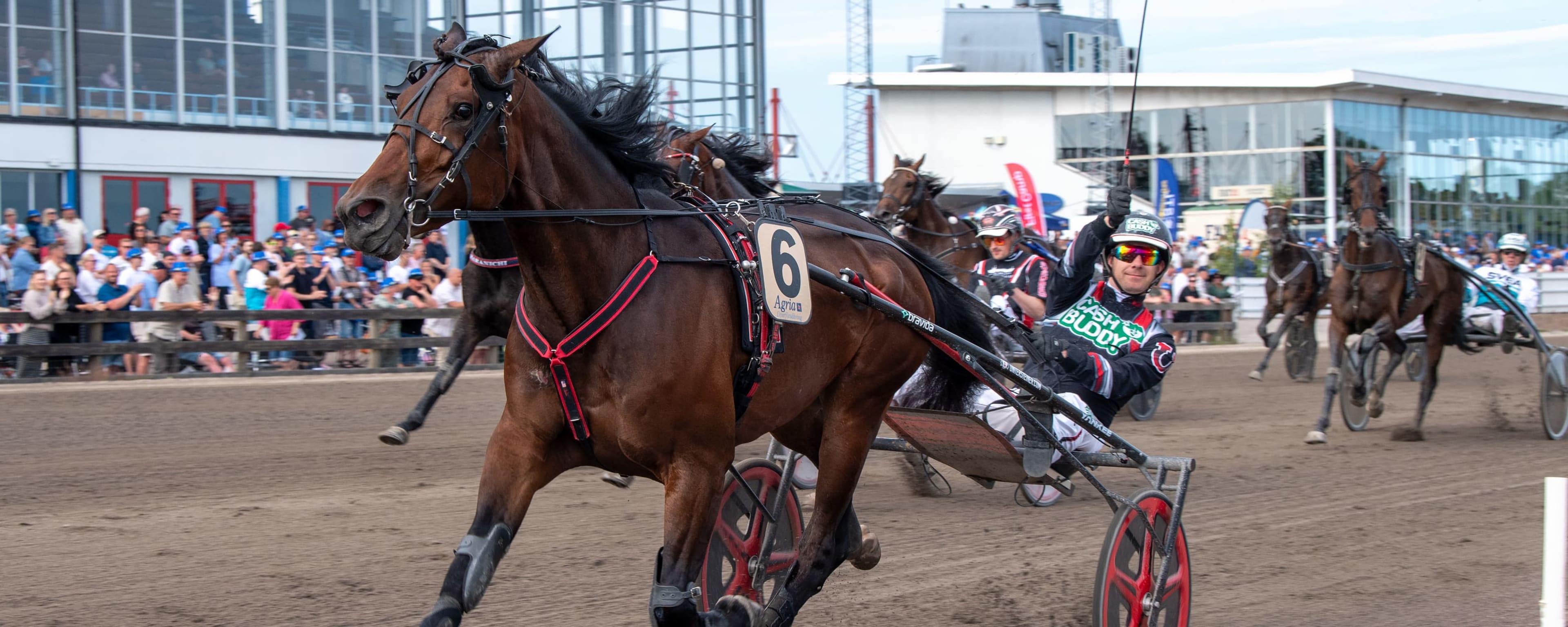 Foto: MIKAEL ROSENQUIST / TR BILD