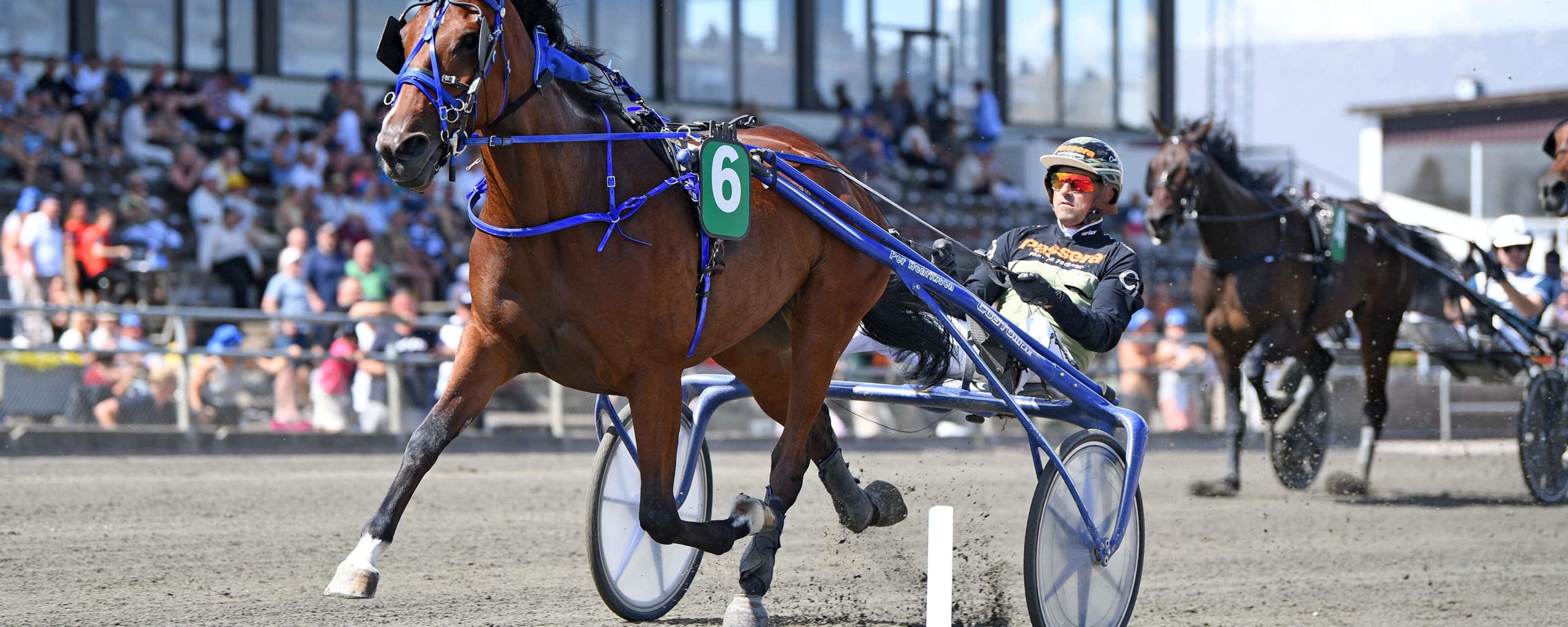 Foto: MALIN ALBINSSON / TR BILD