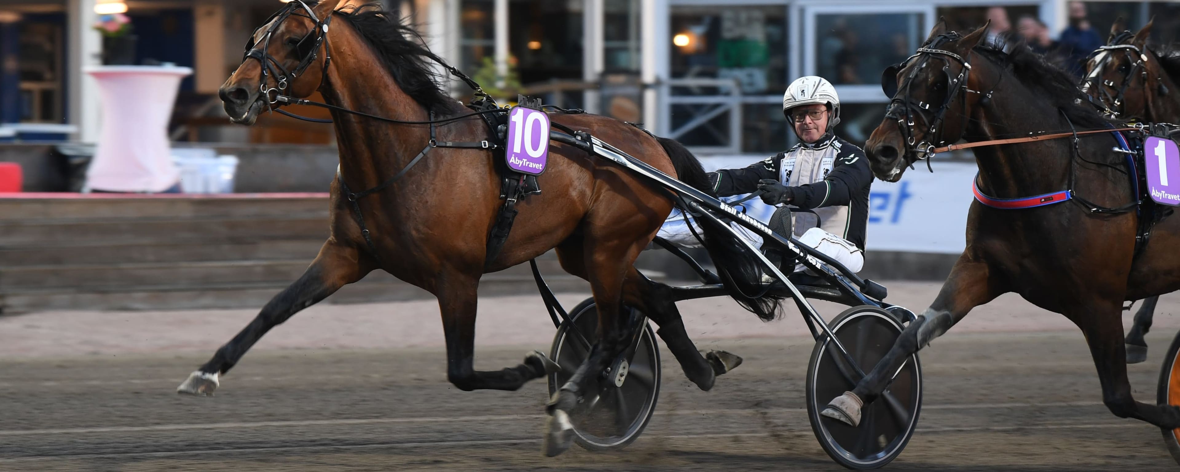 Foto: MALIN ALBINSSON / TR BILD