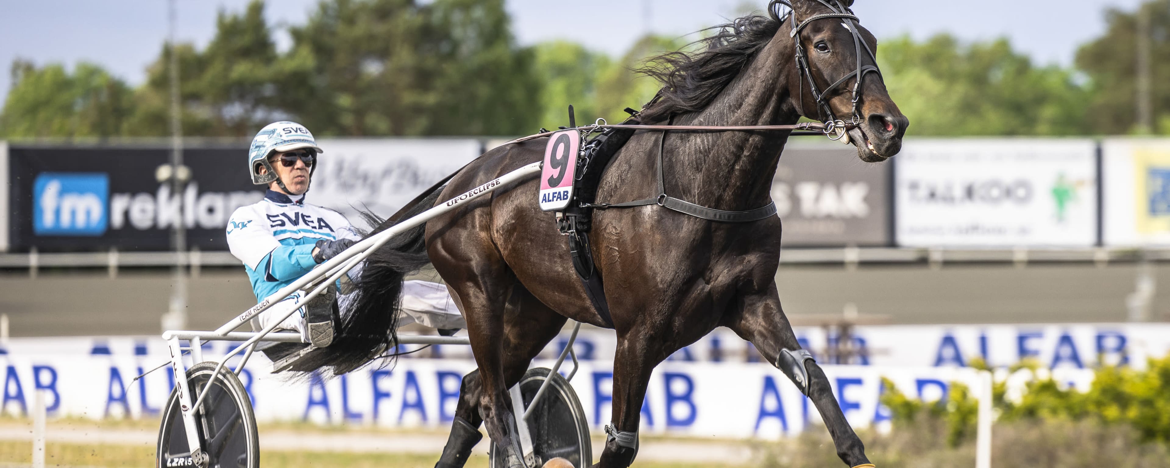 Foto: LENA EMMOTH / TR BILD