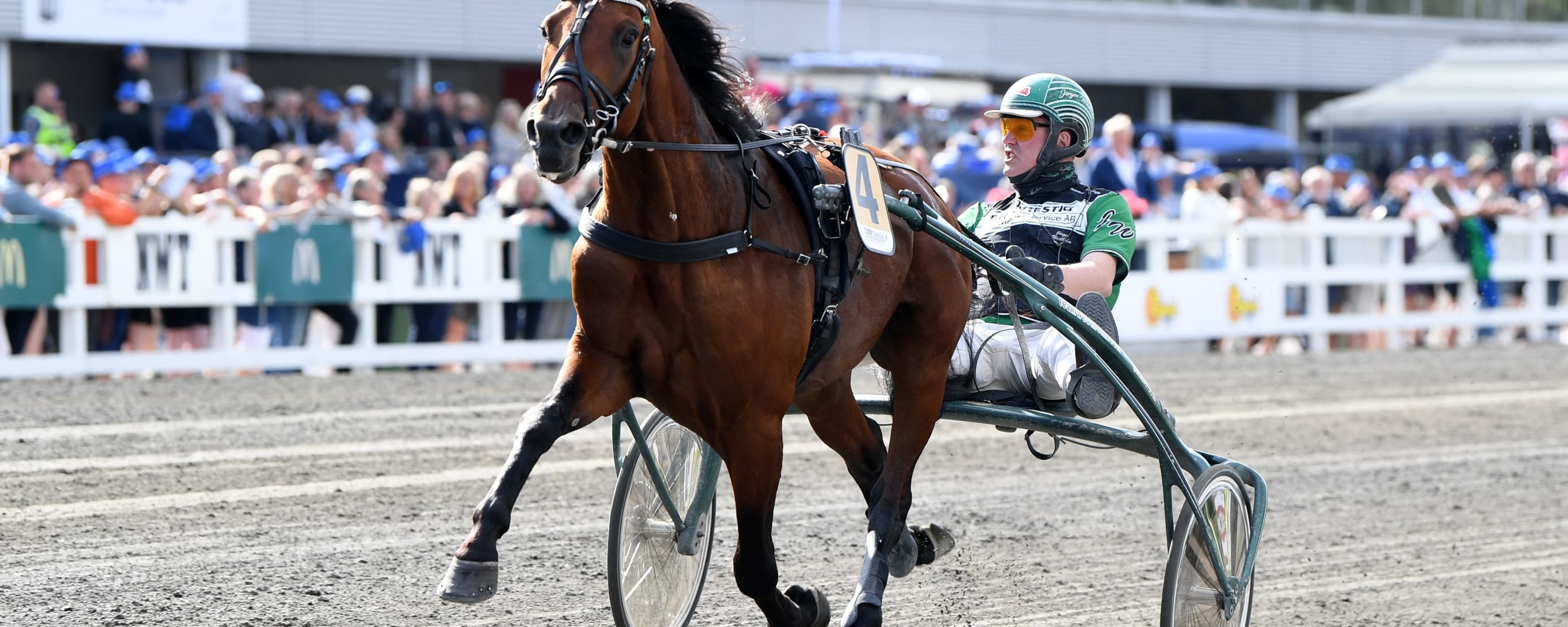 Foto: MALIN ALBINSSON / TR BILD