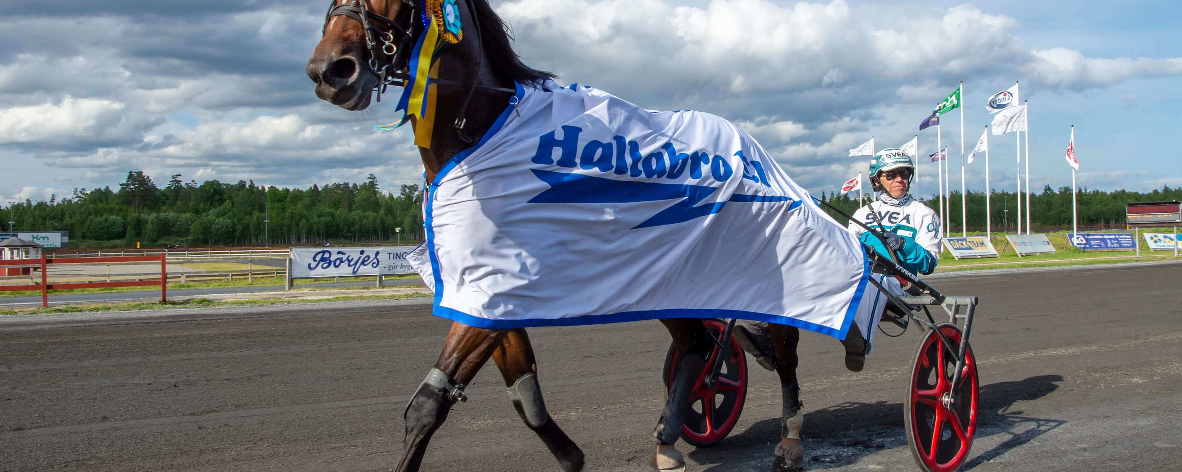 Foto: MIKAEL ROSENQUIST / TR BILD