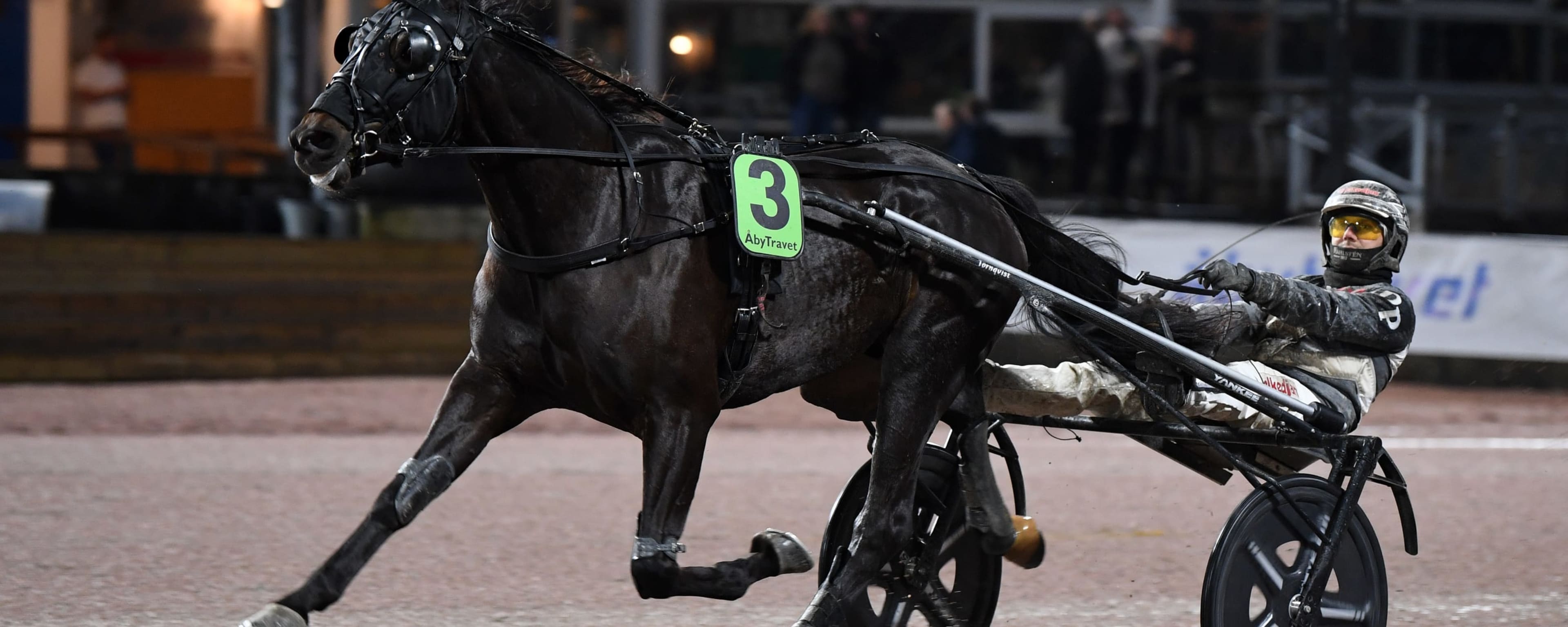 Foto: MALIN ALBINSSON / TR BILD