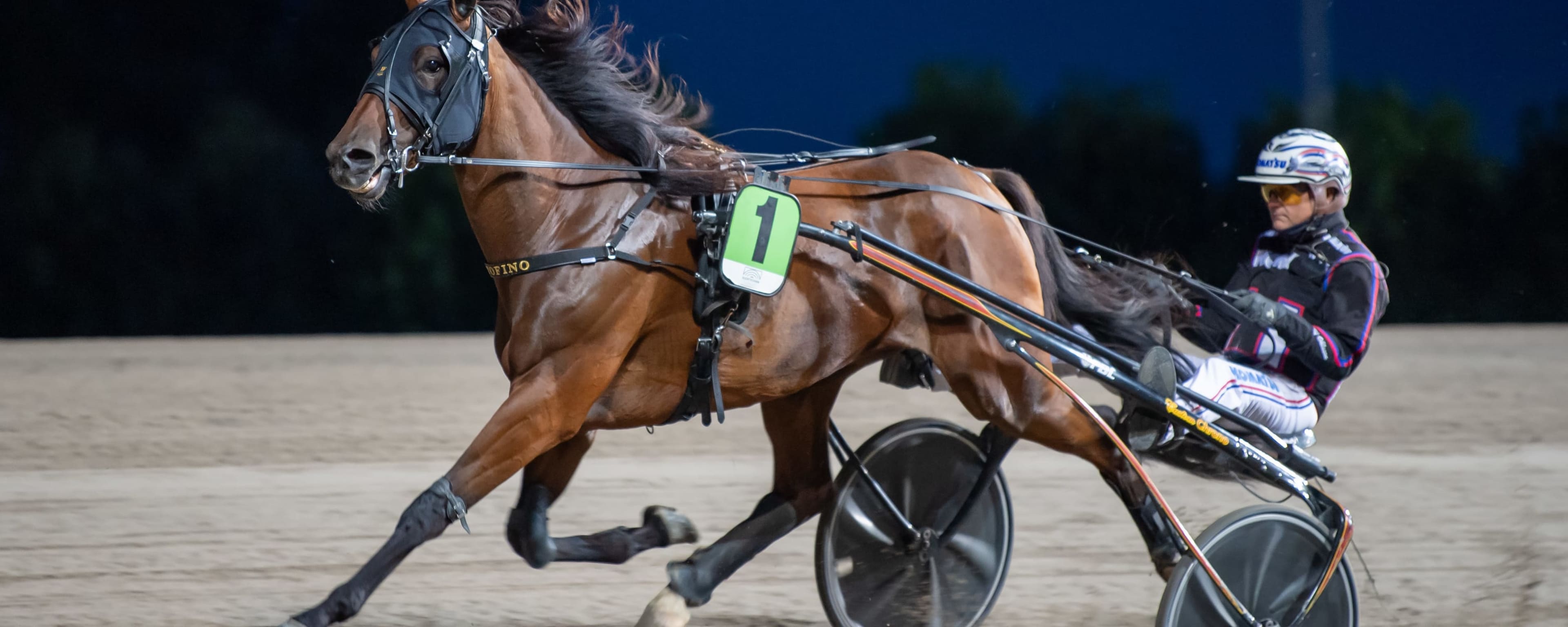 Foto: MIKAEL ROSENQUIST / TR BILD