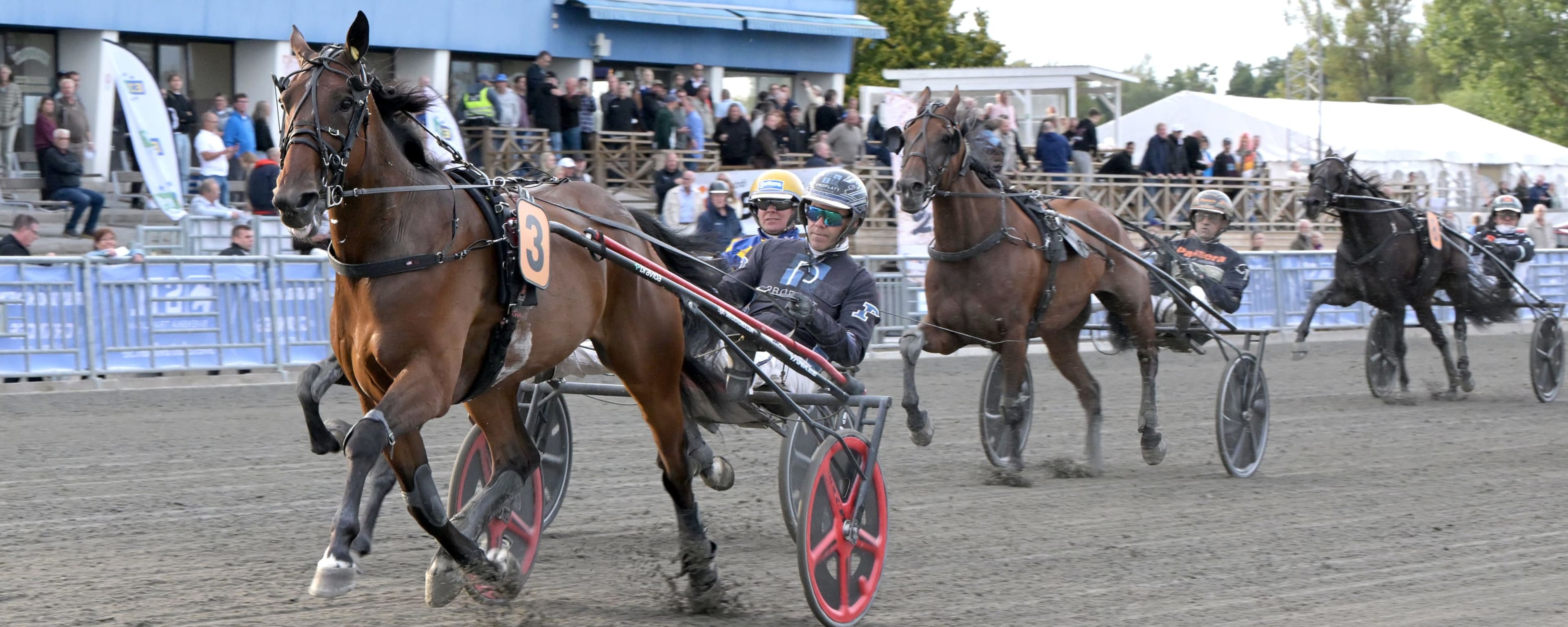 Foto: LARS JAKOBSSON / TR BILD