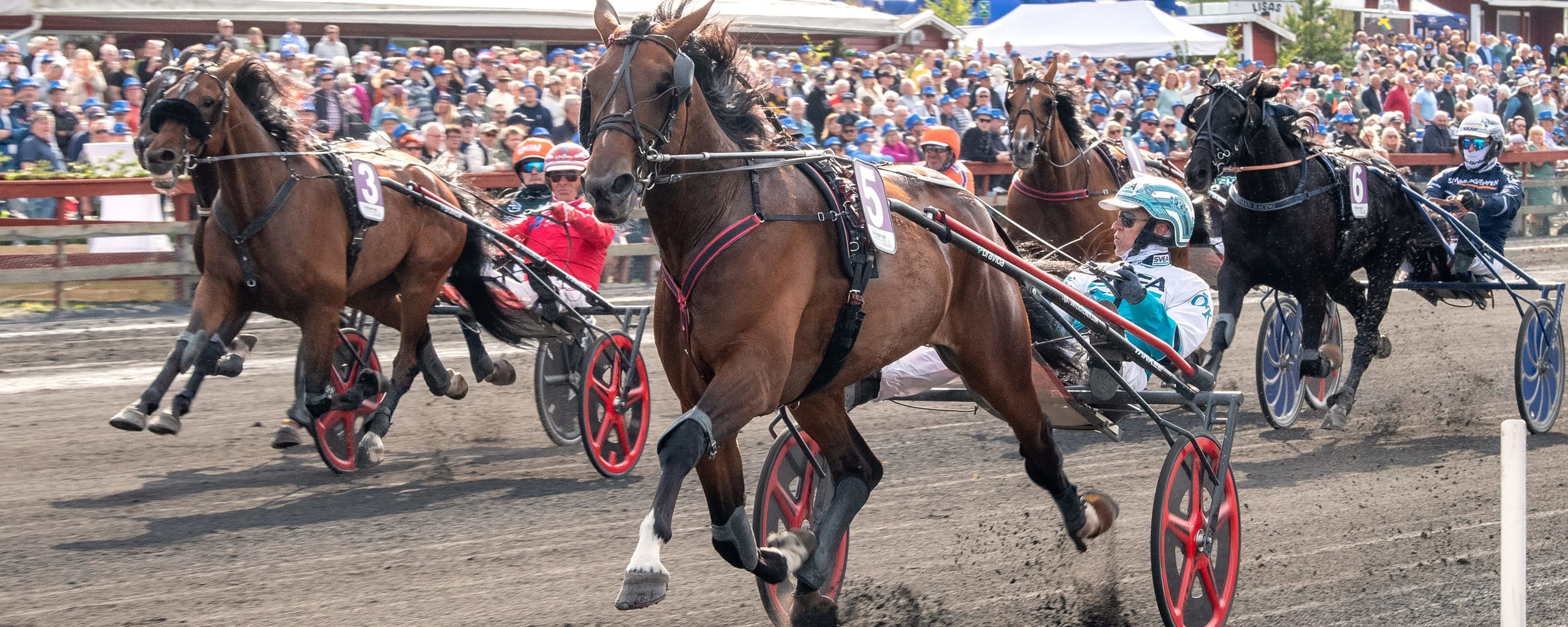 Foto: MIKAEL ROSENQUIST / TR BILD
