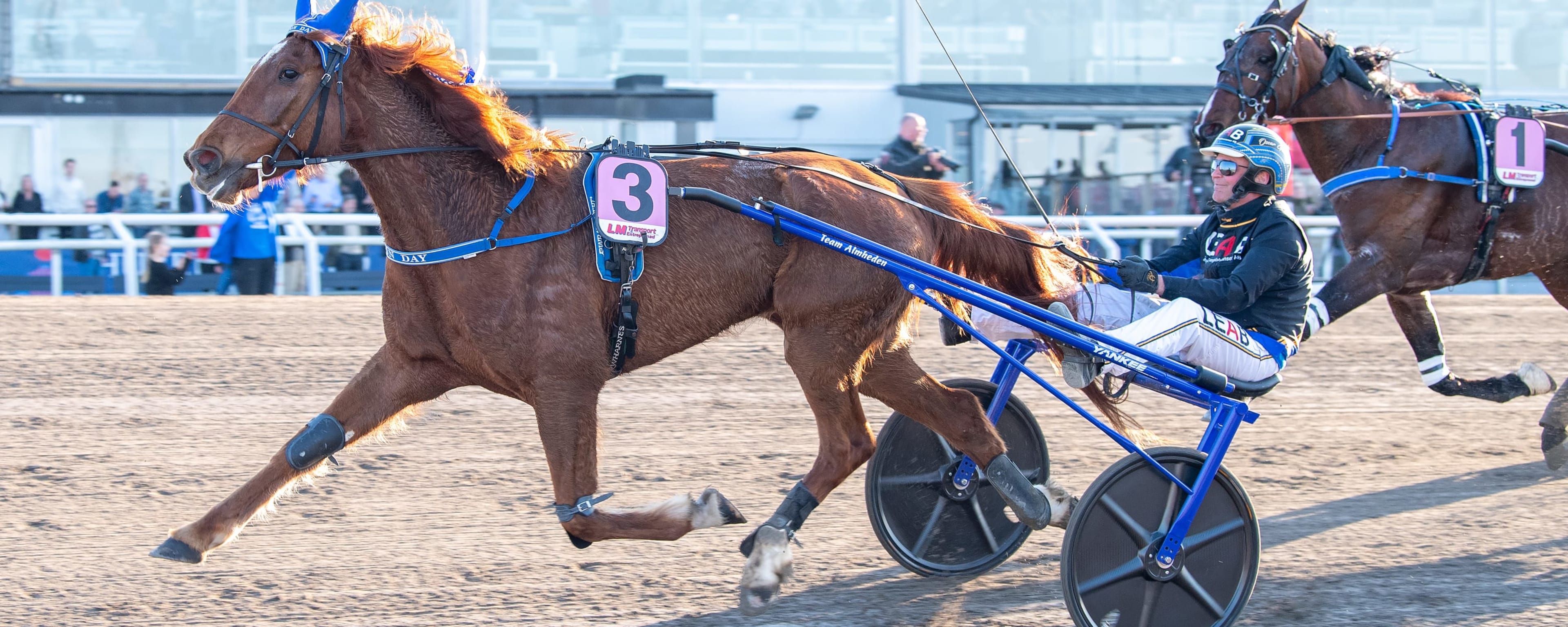 Foto: MIKAEL ROSENQUIST / TR BILD
