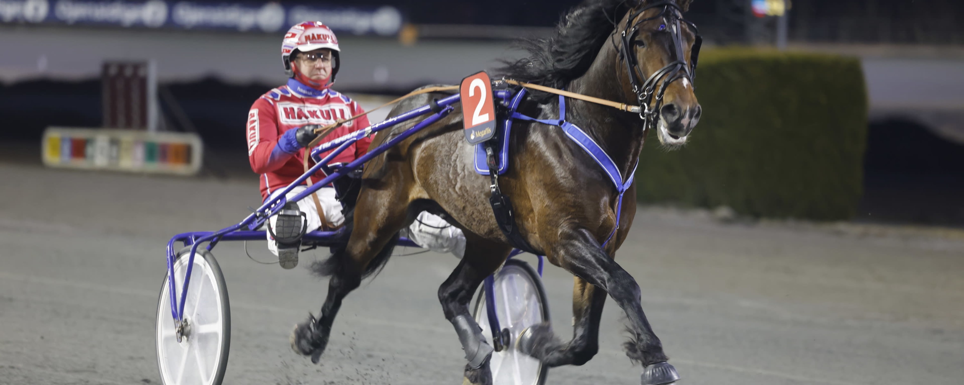 Foto: Hesteguiden.com