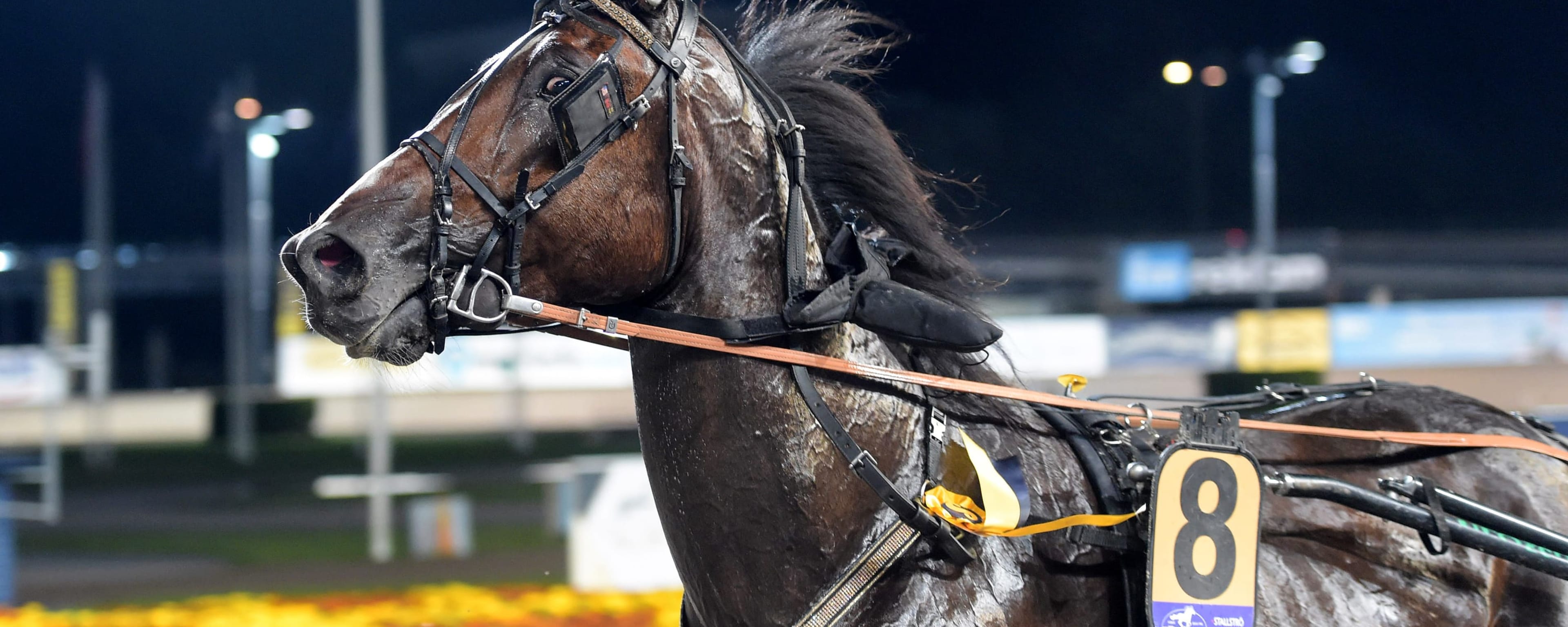Foto: LARS JAKOBSSON / TR BILD
