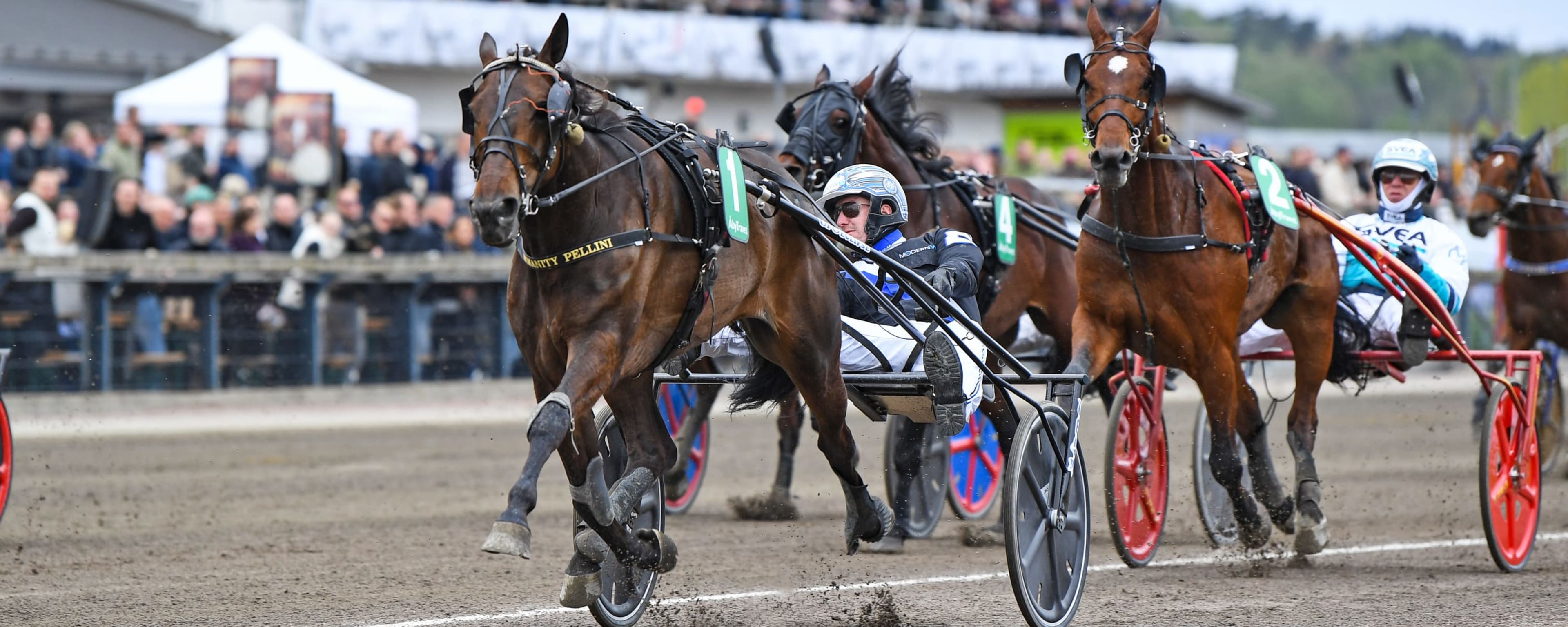 Foto: MALIN ALBINSSON / TR BILD