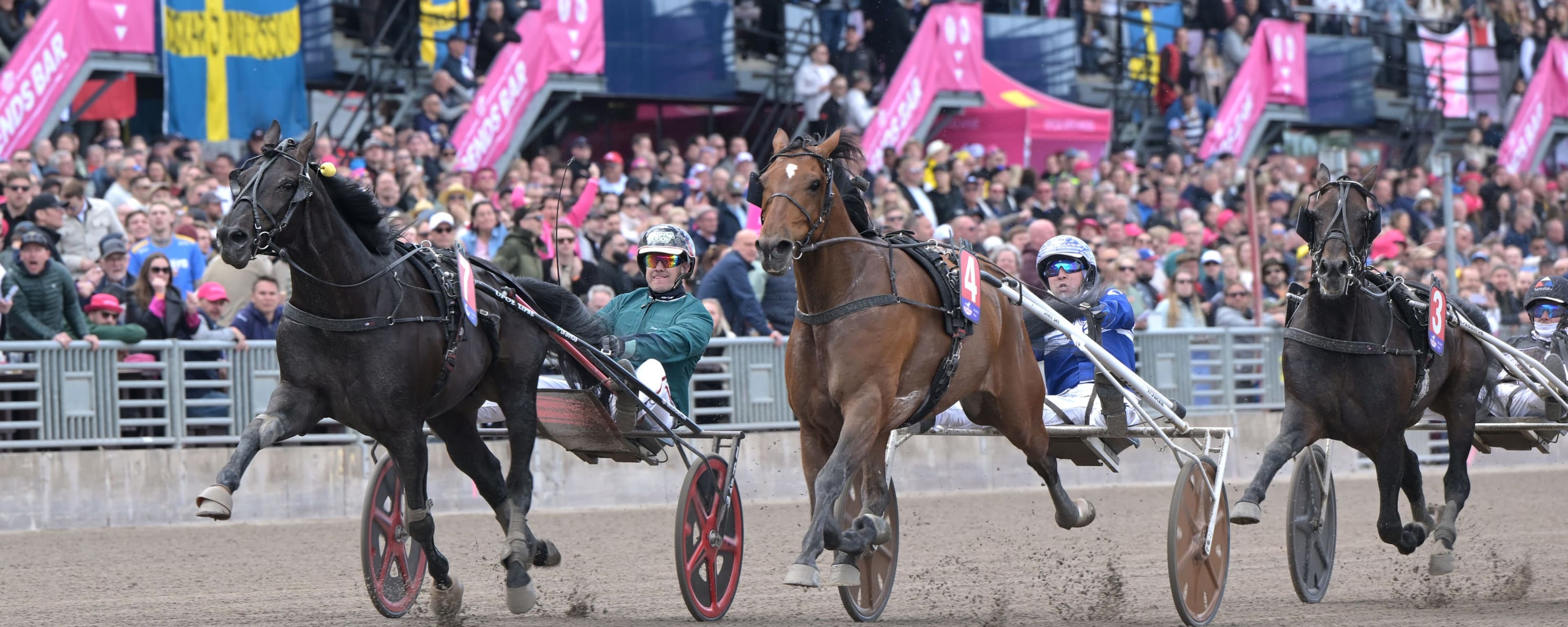 Foto: LARS JAKOBSSON / TR BILD