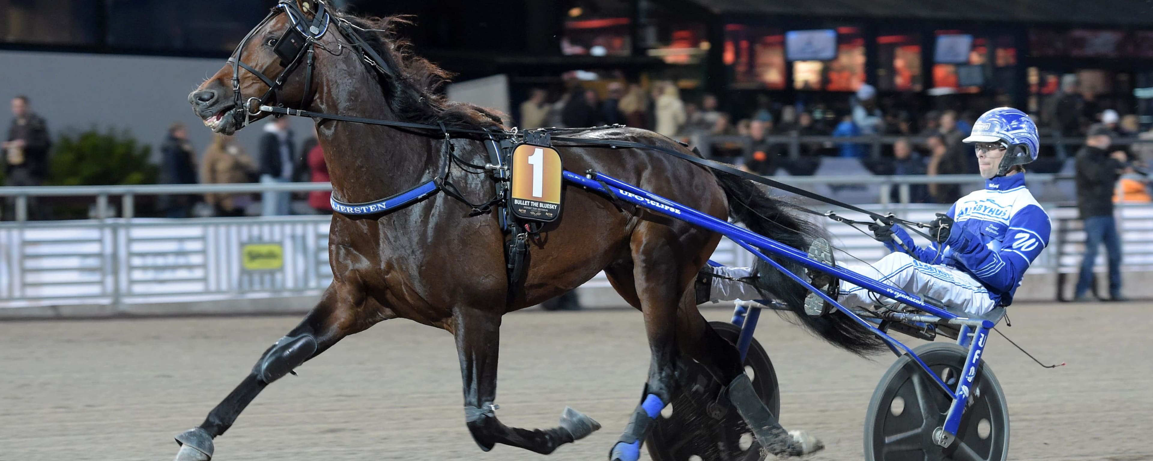 Foto: LARS JAKOBSSON / TR BILD