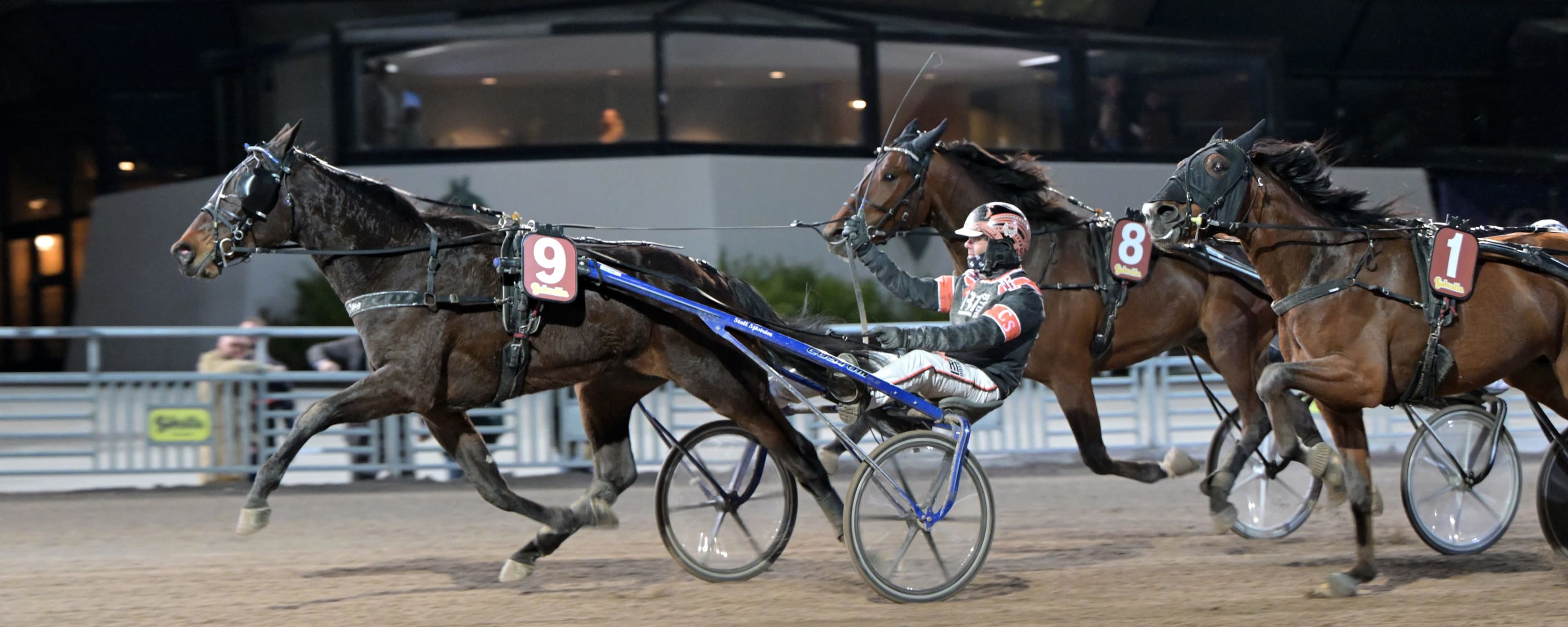 Foto: LARS JAKOBSSON / TR BILD