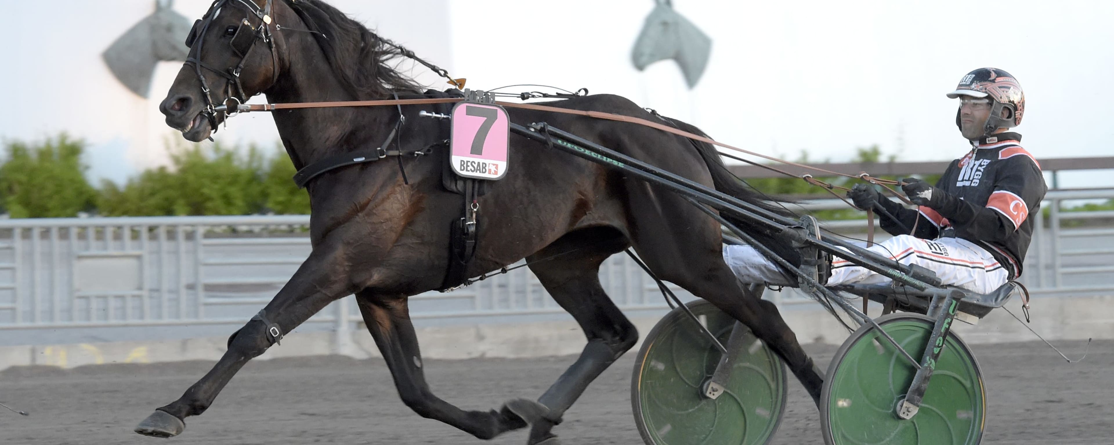 Foto: LARS JAKOBSSON / TR BILD