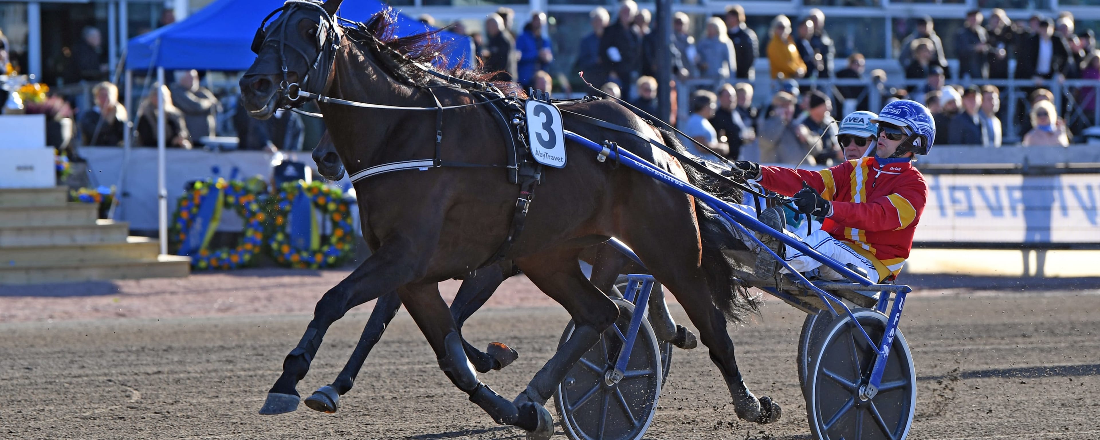 Foto: MALIN ALBINSSON / TR BILD