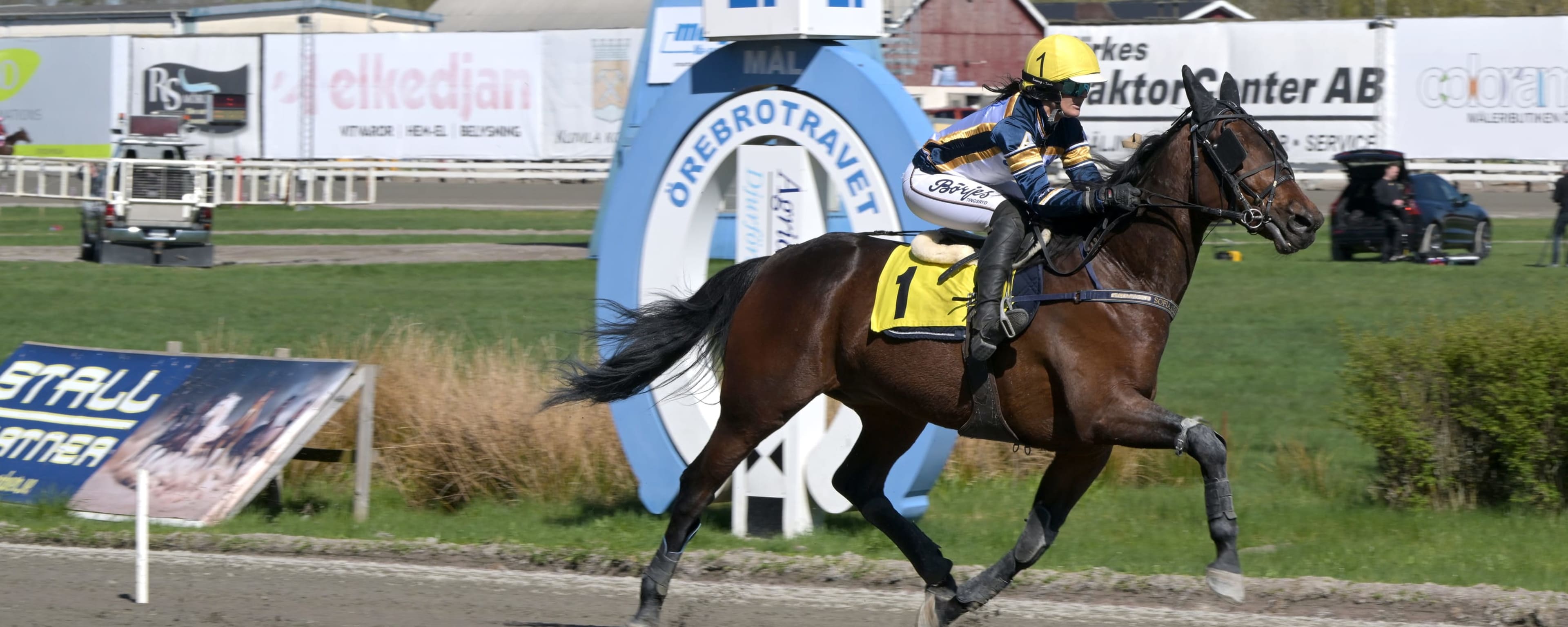 Foto: LARS JAKOBSSON / TR BILD