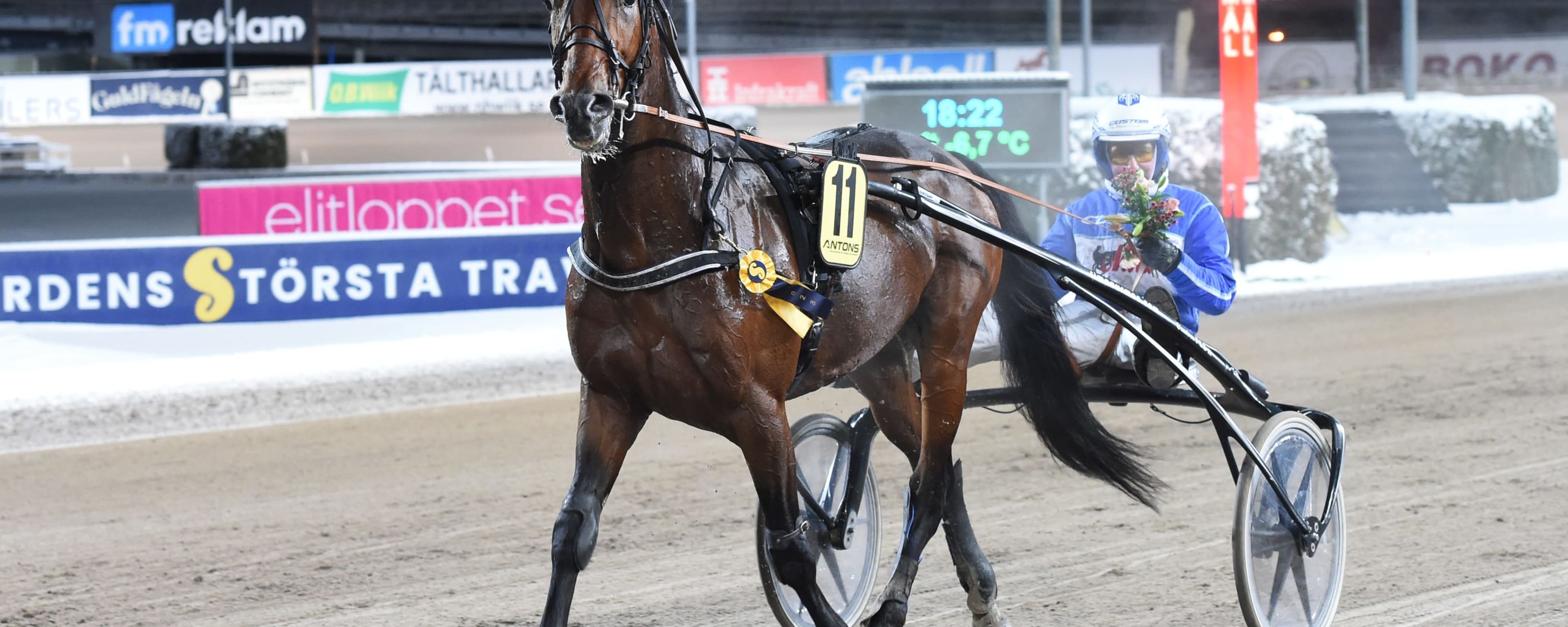 Foto: LARS JAKOBSSON / TR BILD
