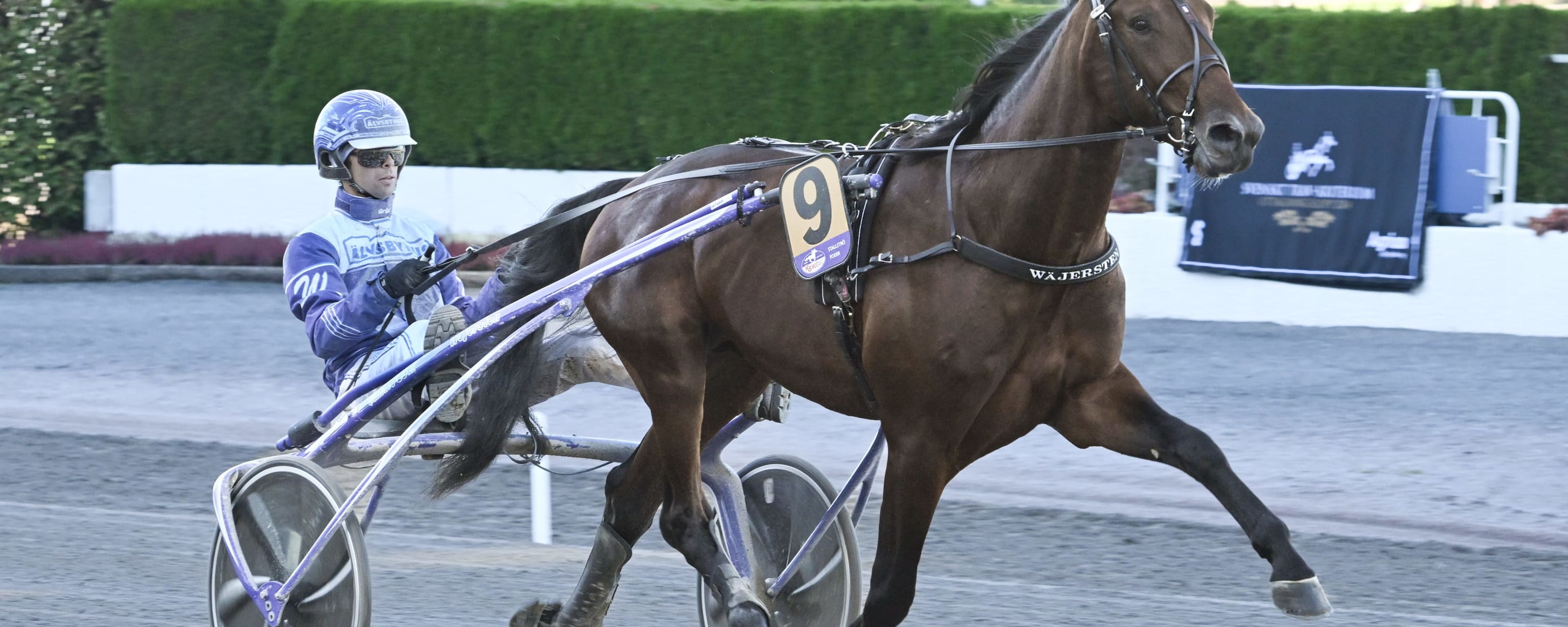 Foto: LARS JAKOBSSON / TR BILD