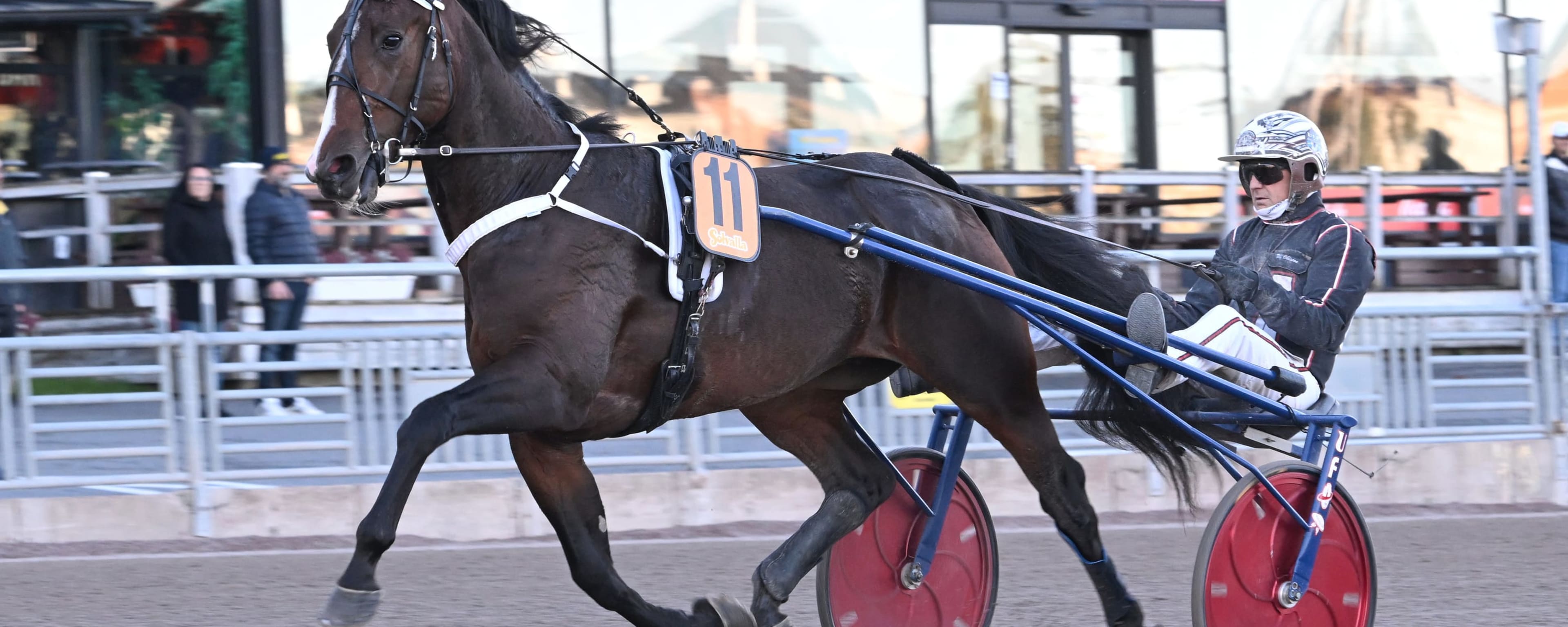 Foto: LARS JAKOBSSON / TR BILD