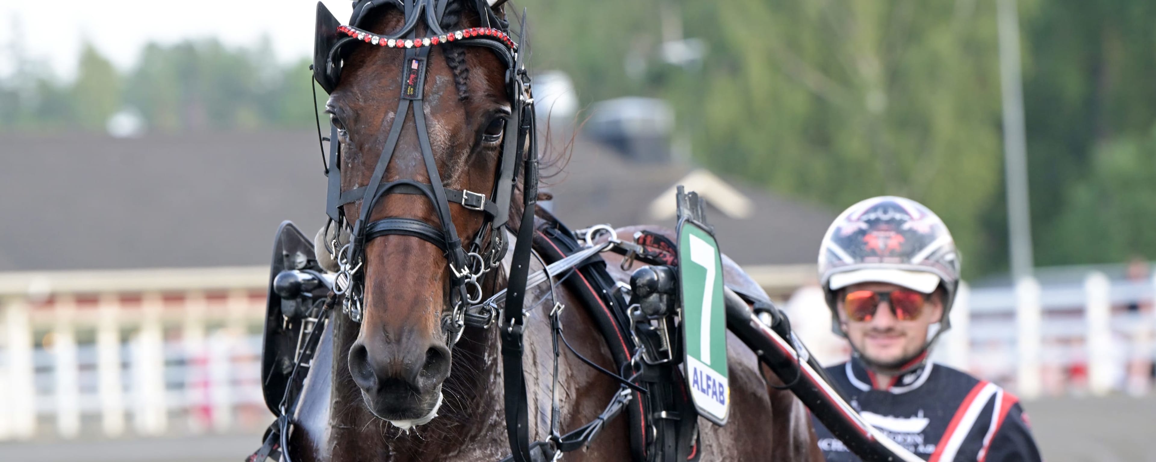 Foto: LARS JAKOBSSON / TR BILD