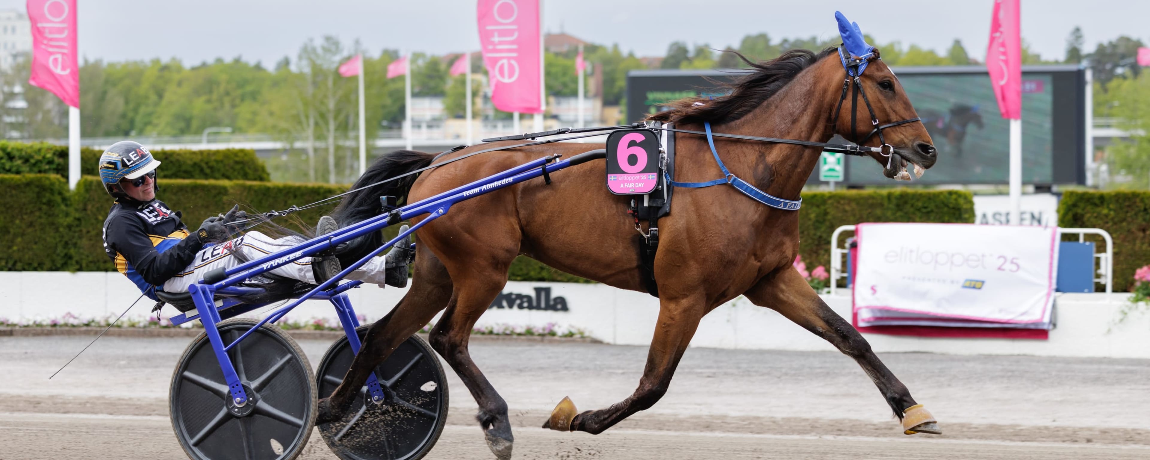 Foto: LENA EMMOTH / TR BILD