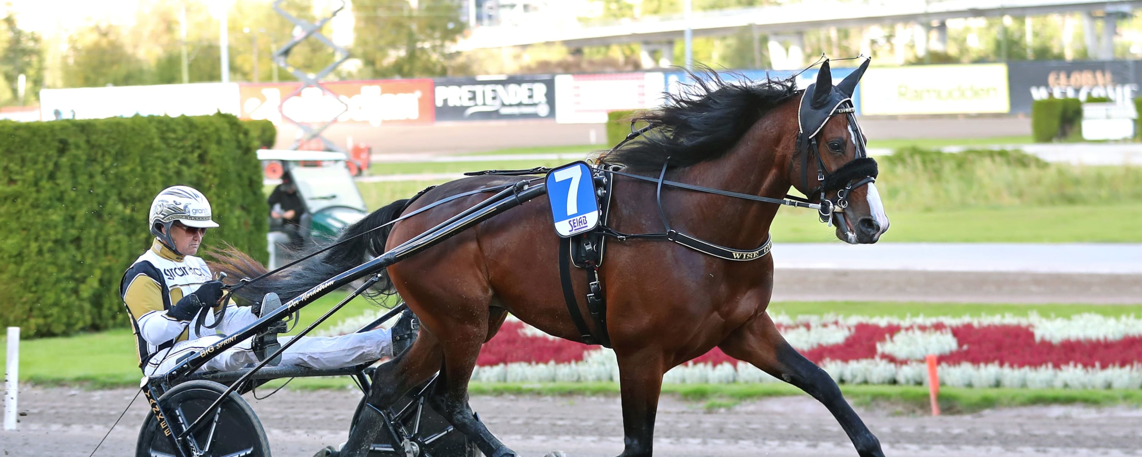 Foto: MARIA HOLMÉN / TR BILD