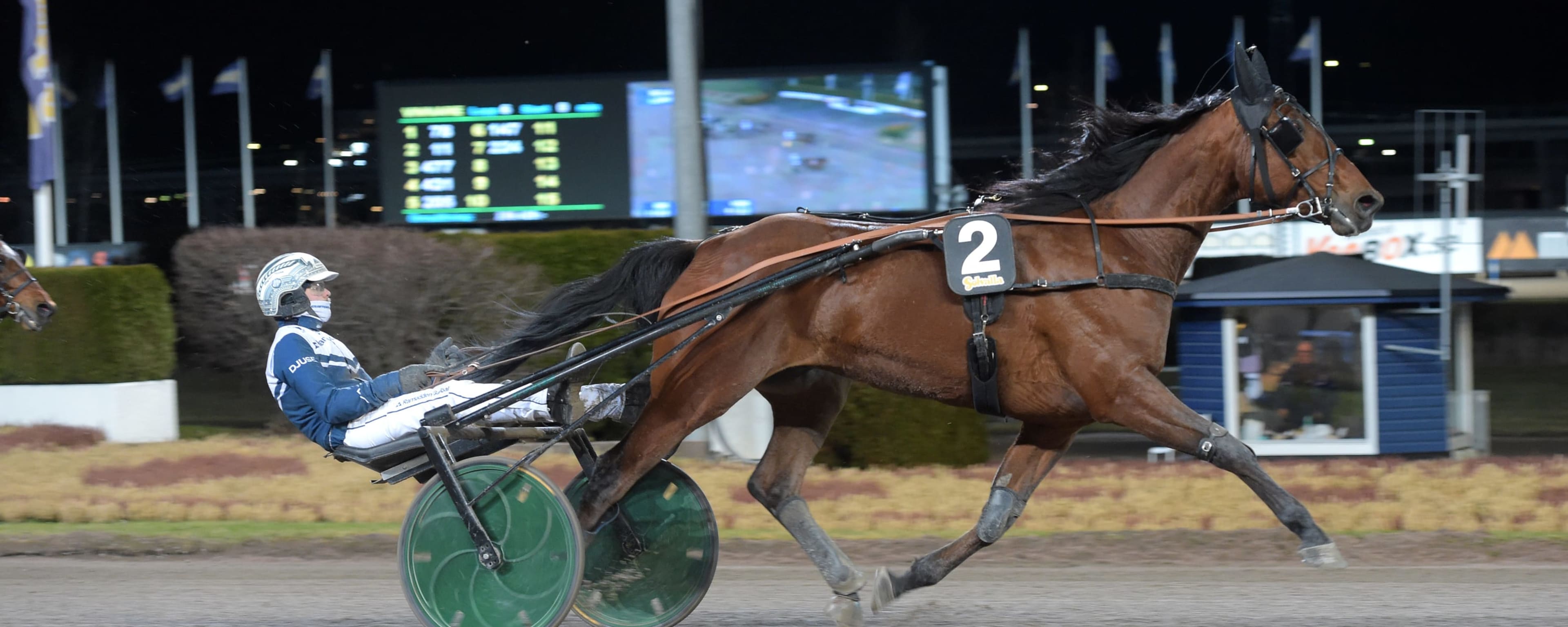 Foto: LARS JAKOBSSON / TR BILD