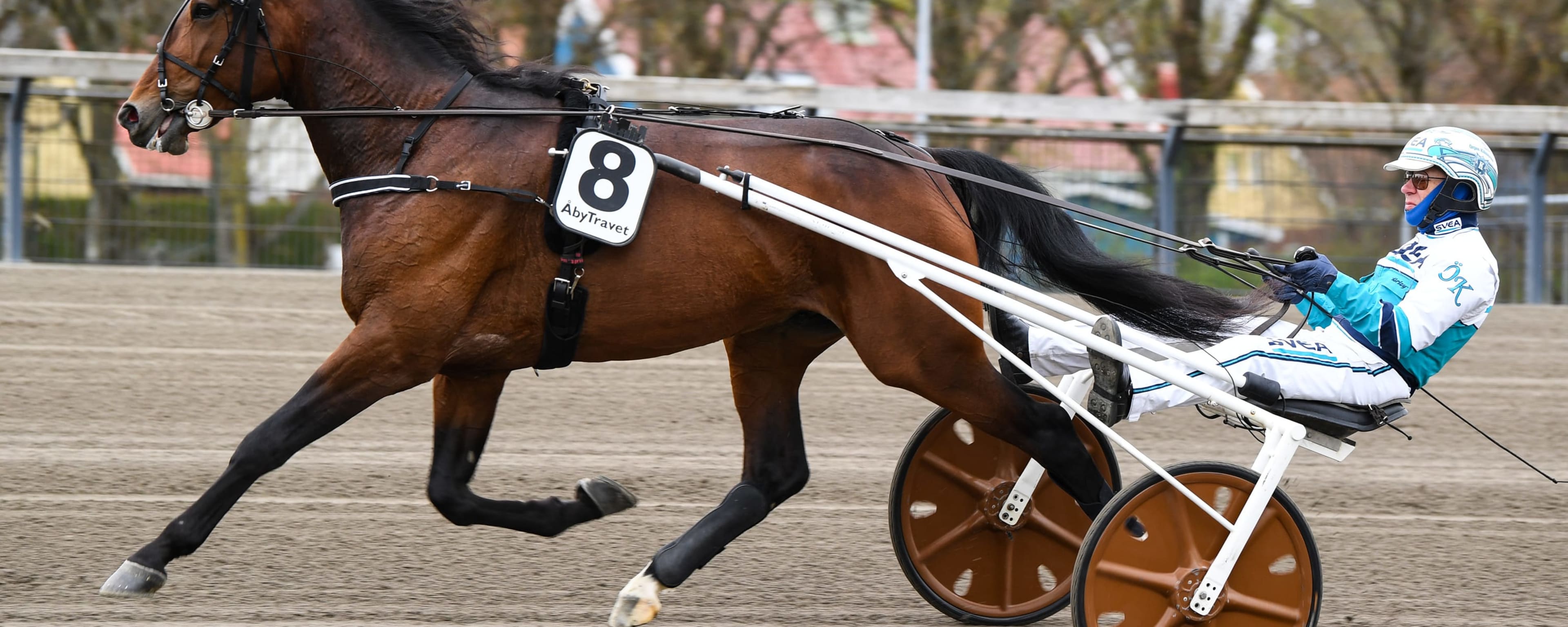 Foto: MALIN ALBINSSON / TR BILD