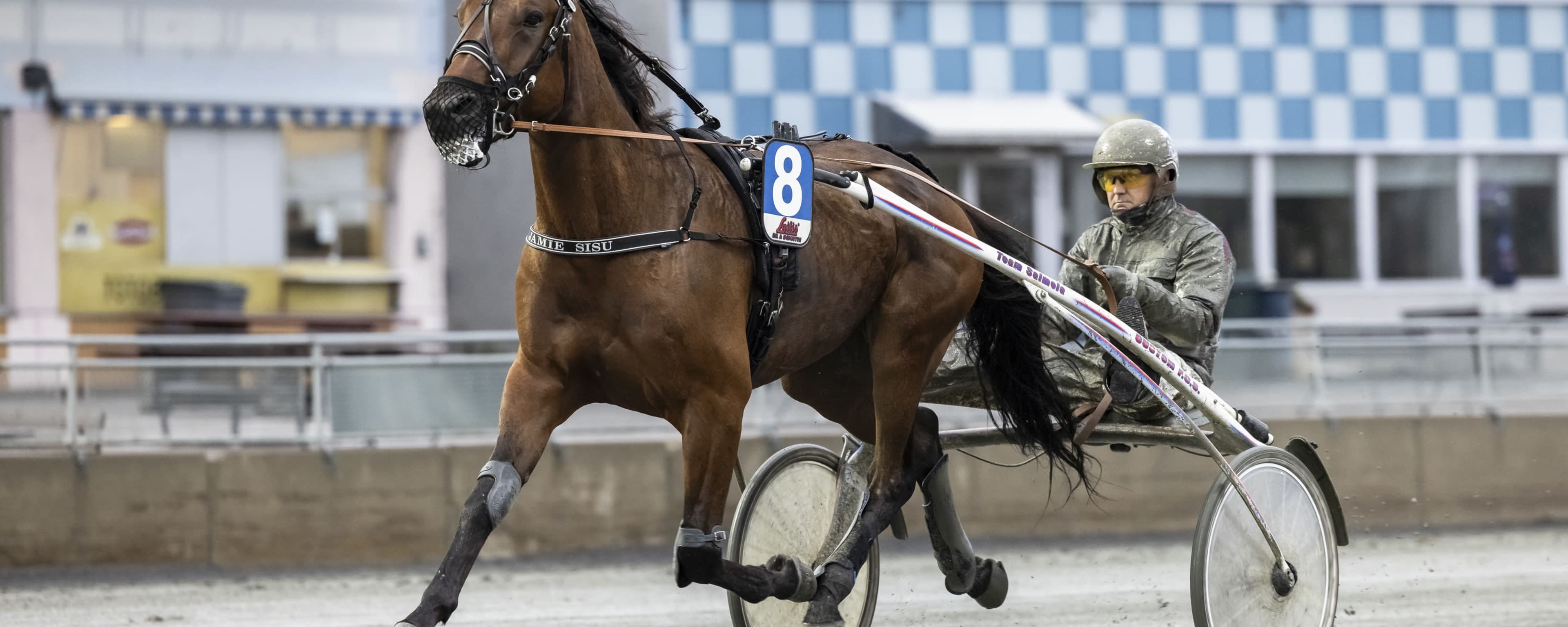 Foto: LENA EMMOTH / TR BILD