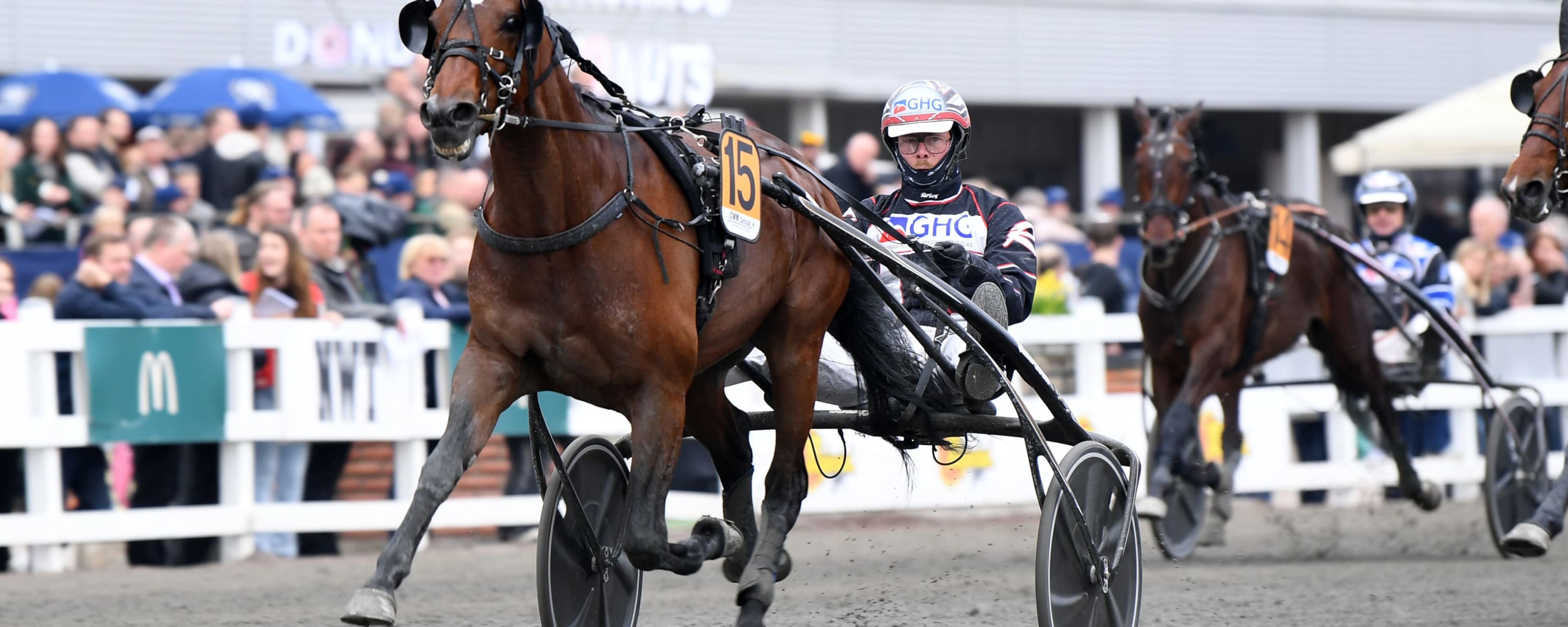 Foto: MALIN ALBINSSON / TR BILD