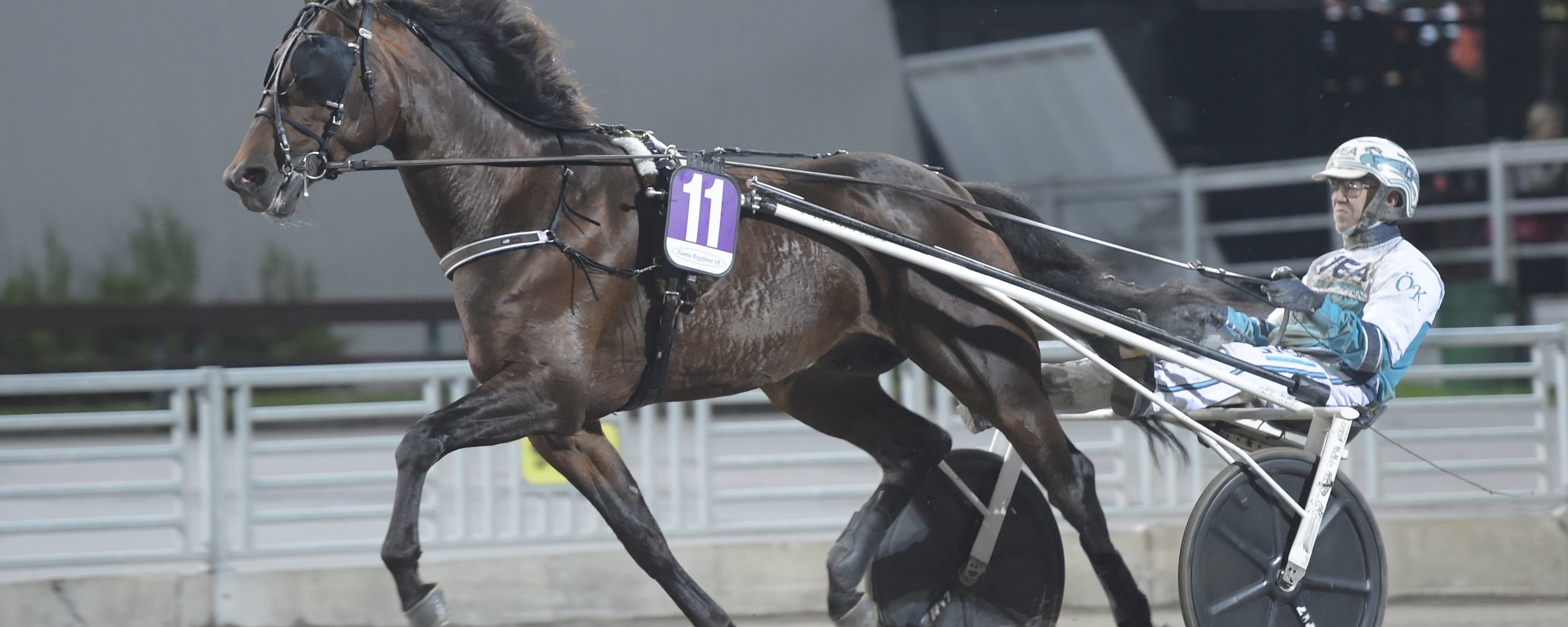 Foto: LARS JAKOBSSON / TR BILD
