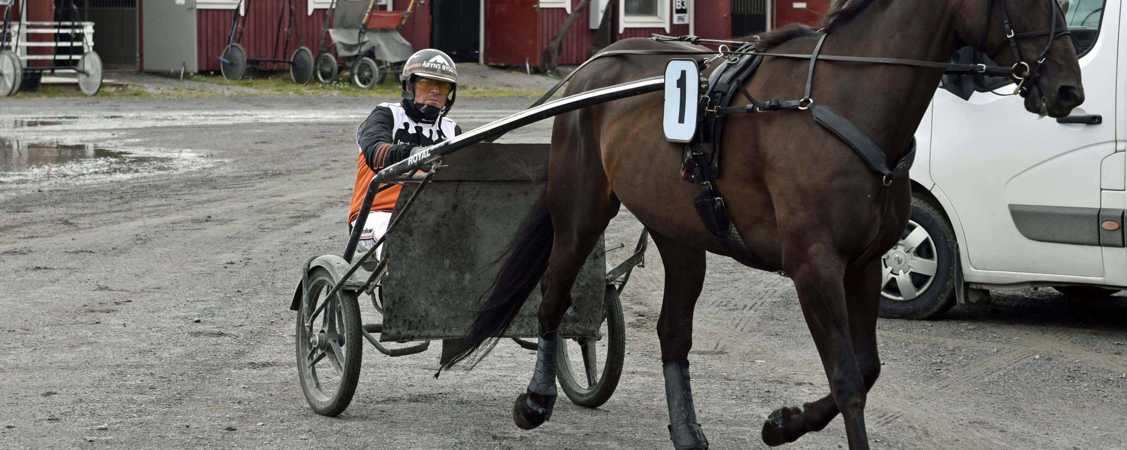 Foto: MIKAEL WIKNER