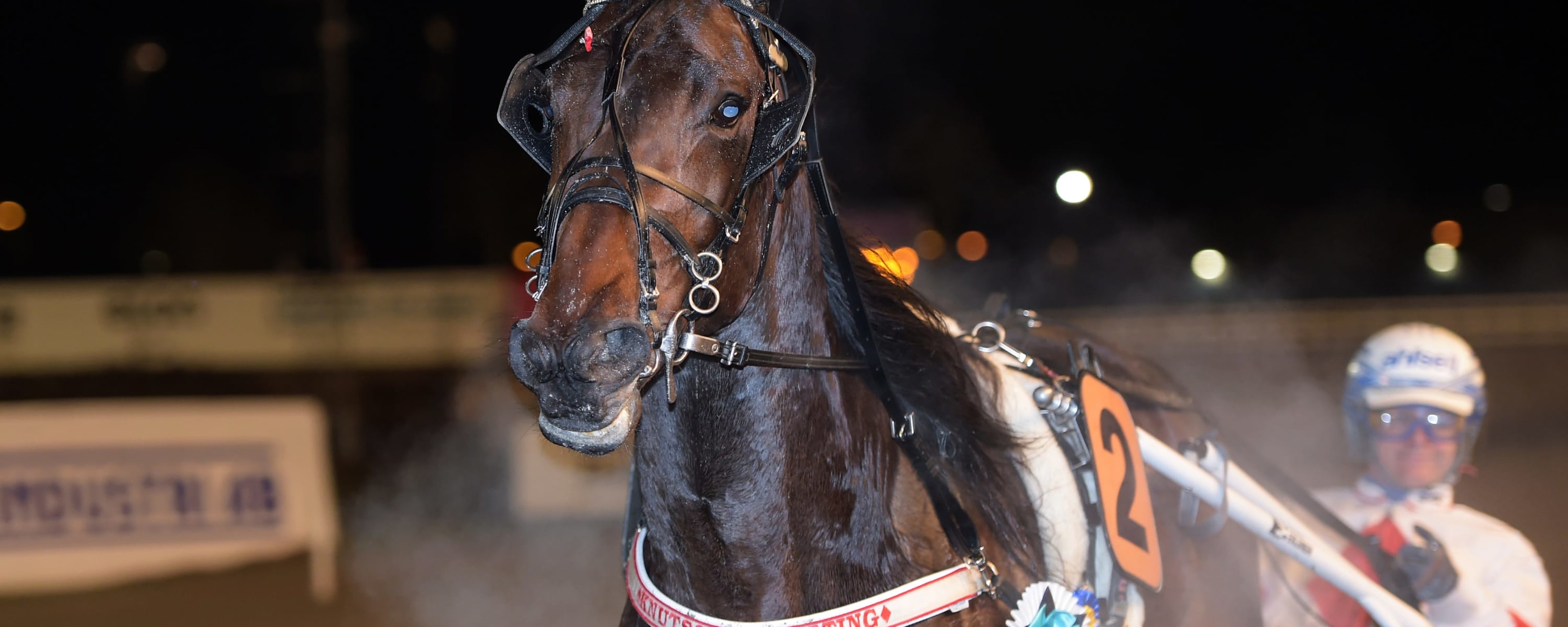 Foto: LARS JAKOBSSON / TR BILD