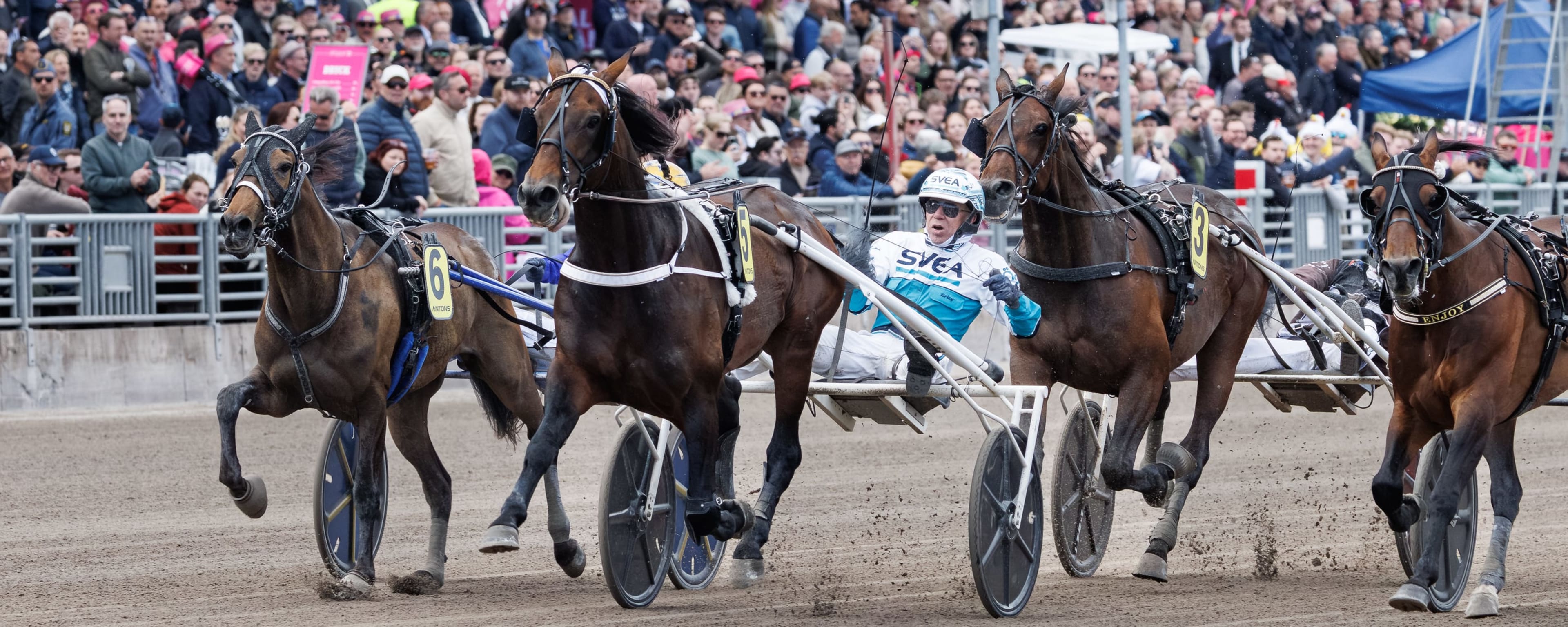 Foto: LENA EMMOTH / TR BILD