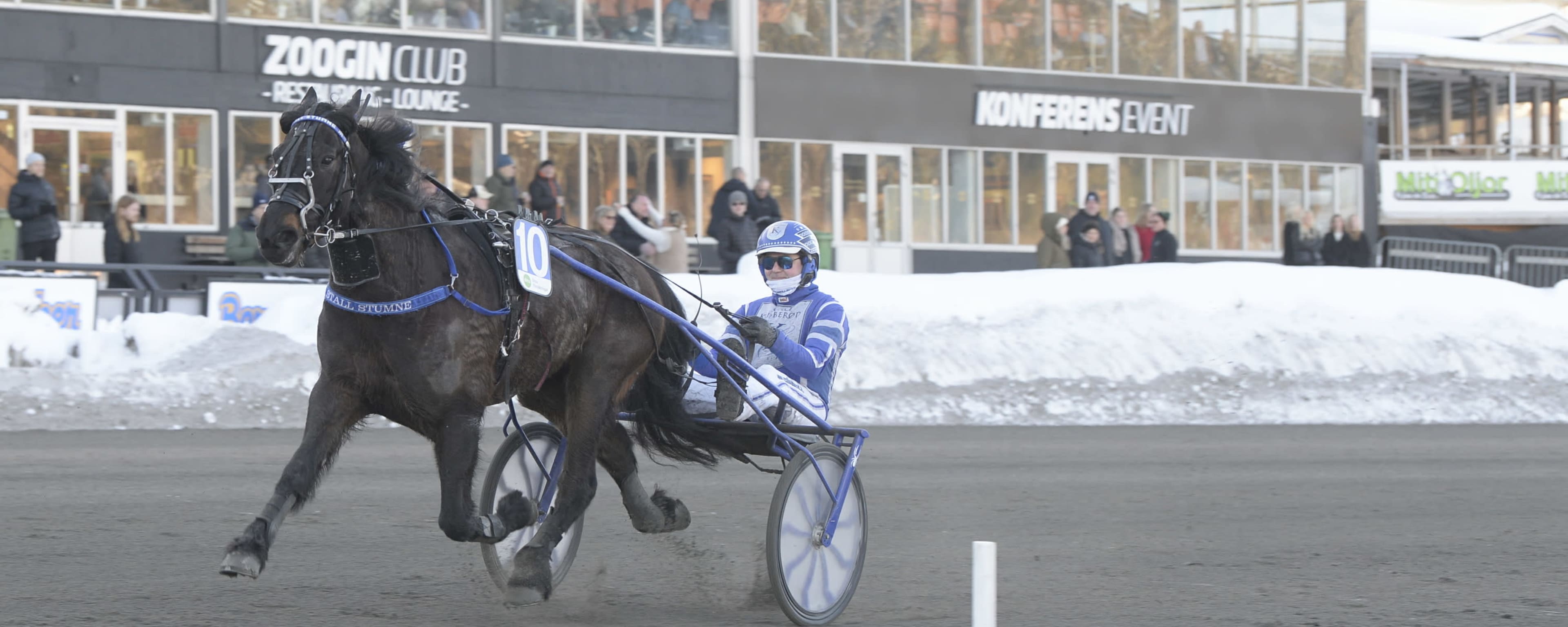 Foto: CHRISTER NORIN