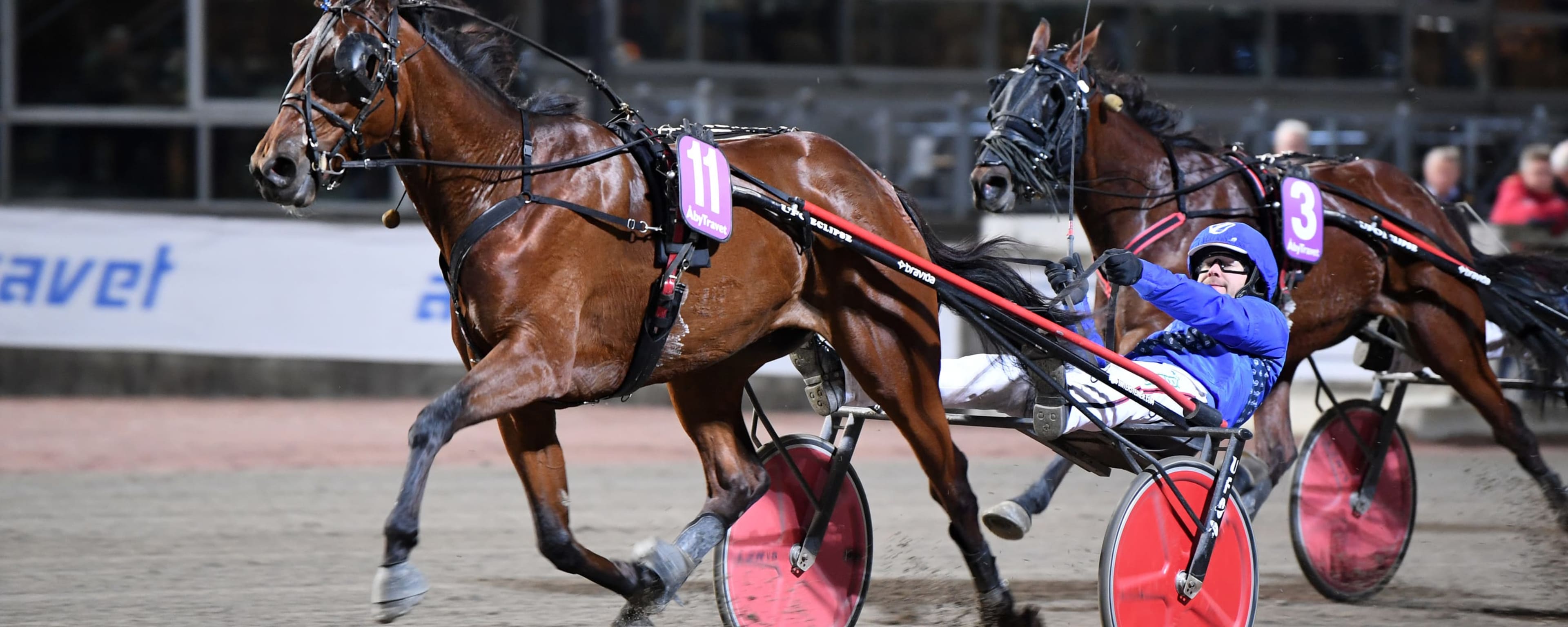 Foto: MALIN ALBINSSON / TR BILD