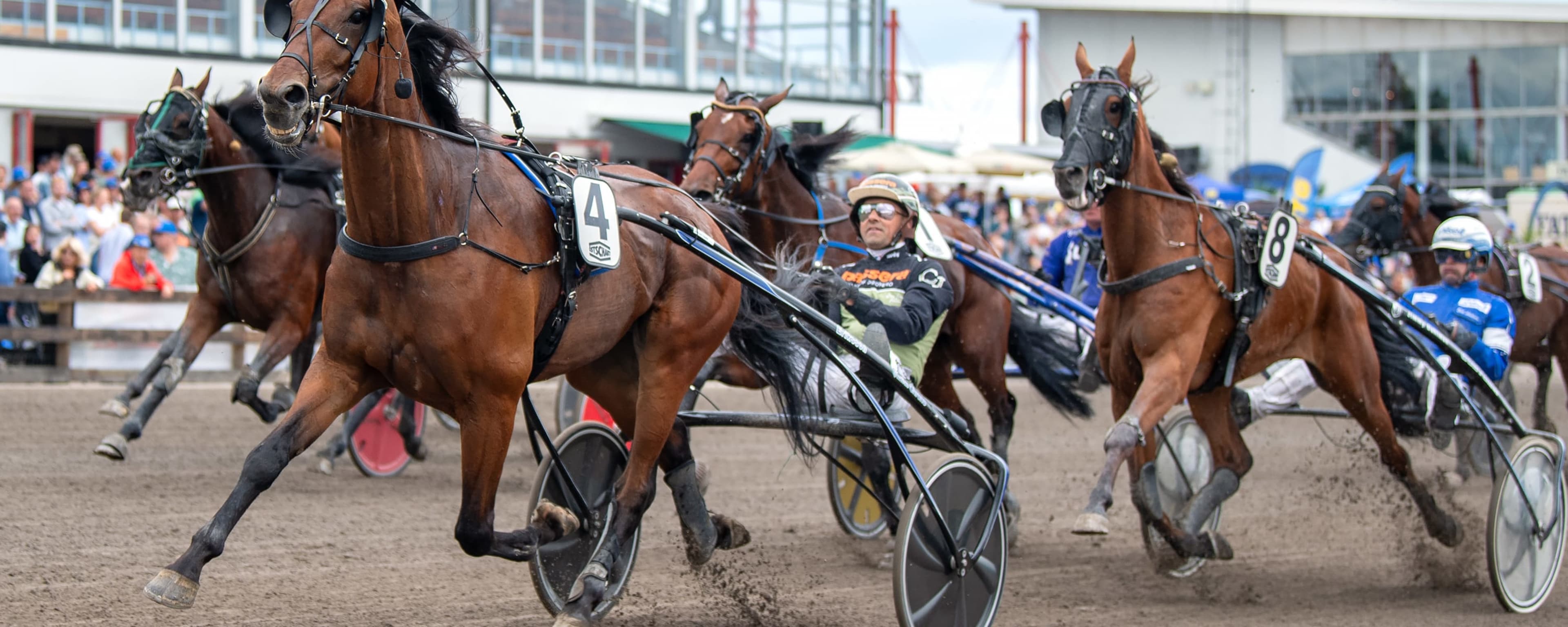 Foto: MIKAEL ROSENQUIST / TR BILD