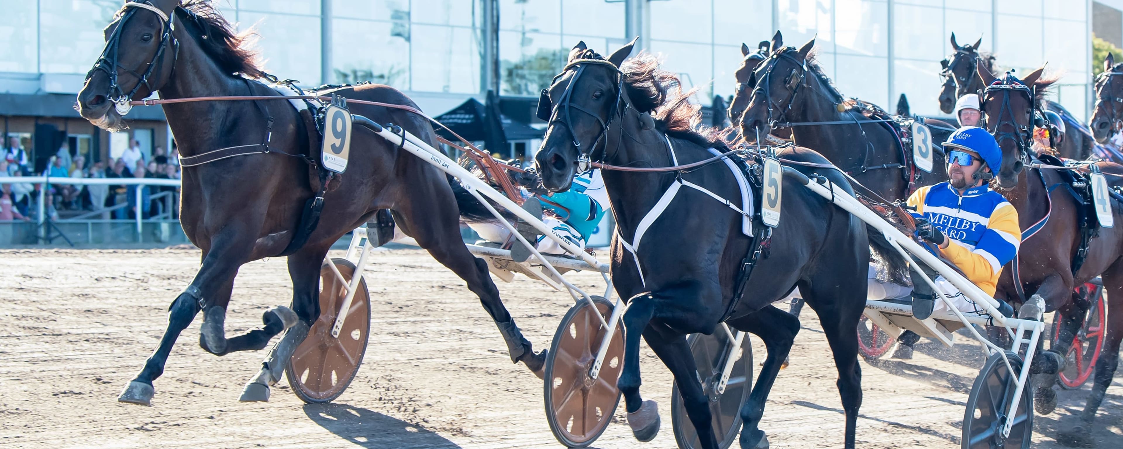Foto: MIKAEL ROSENQUIST / TR BILD