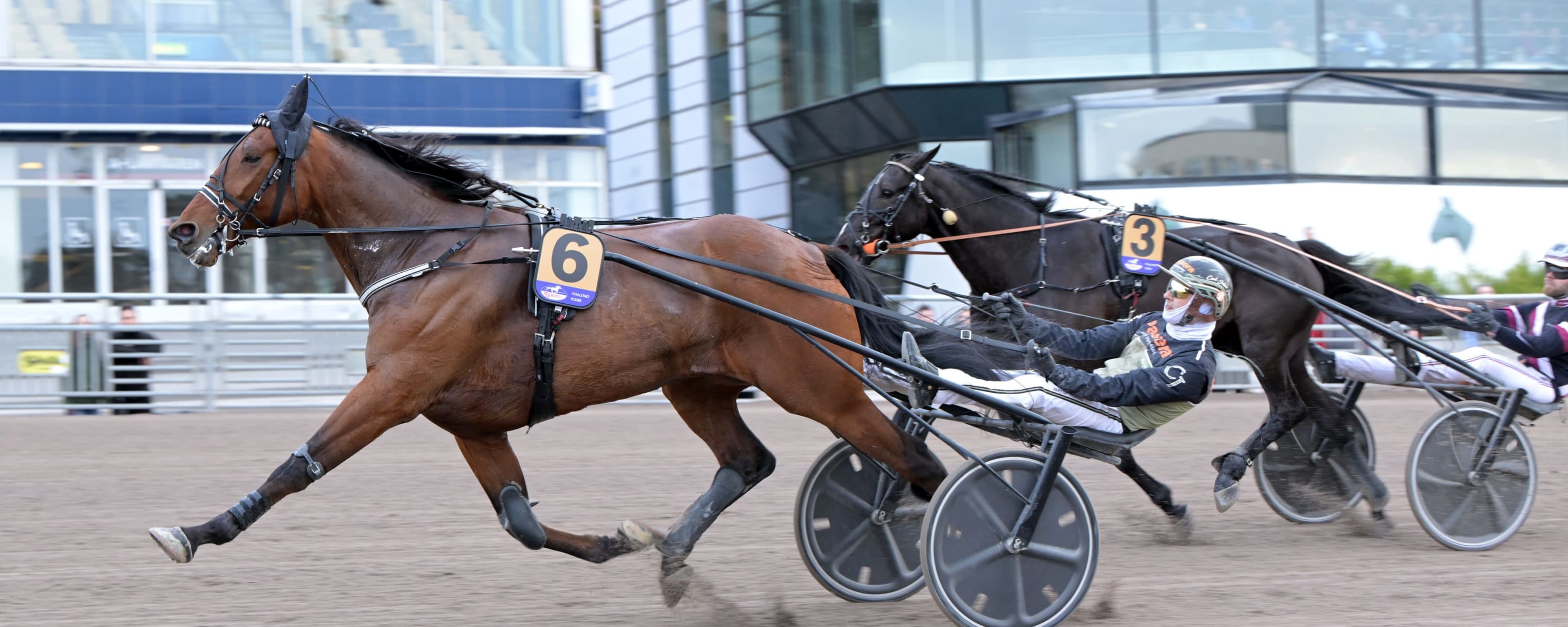 Foto: LARS JAKOBSSON / TR BILD