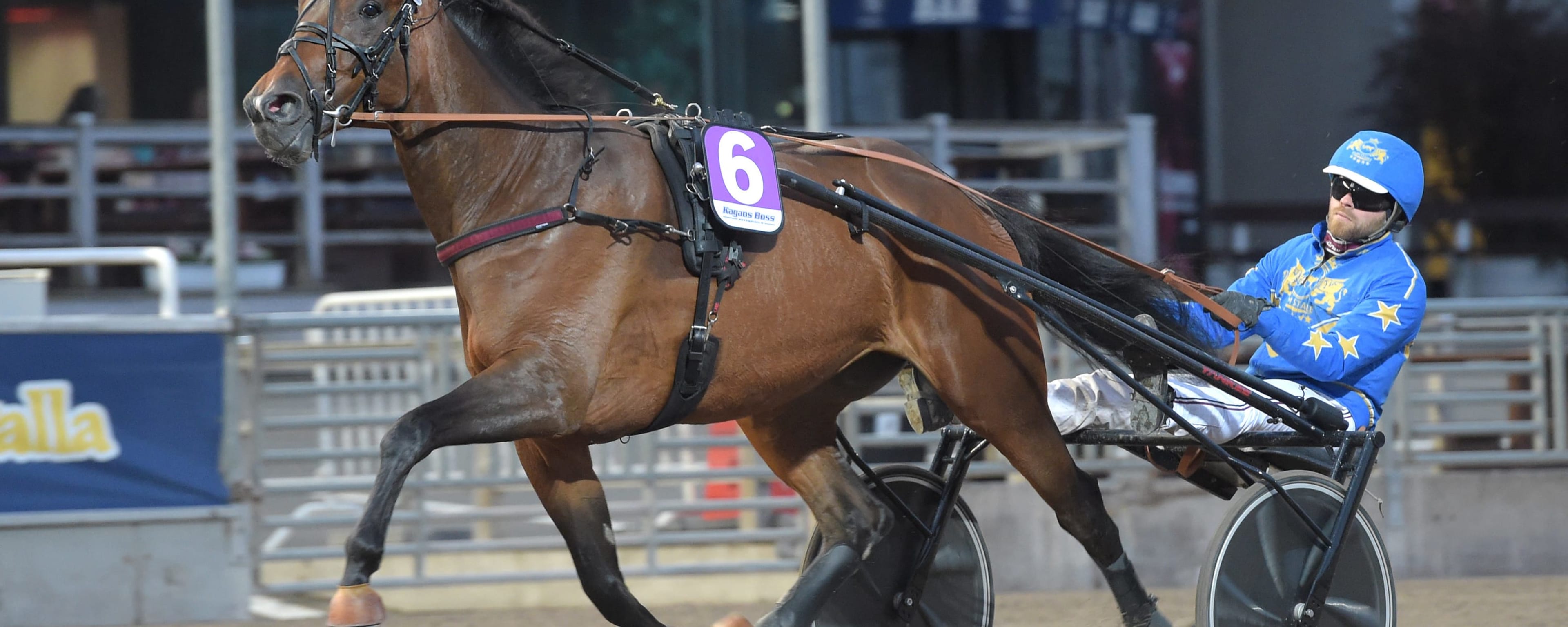 Foto: LARS JAKOBSSON / TR BILD